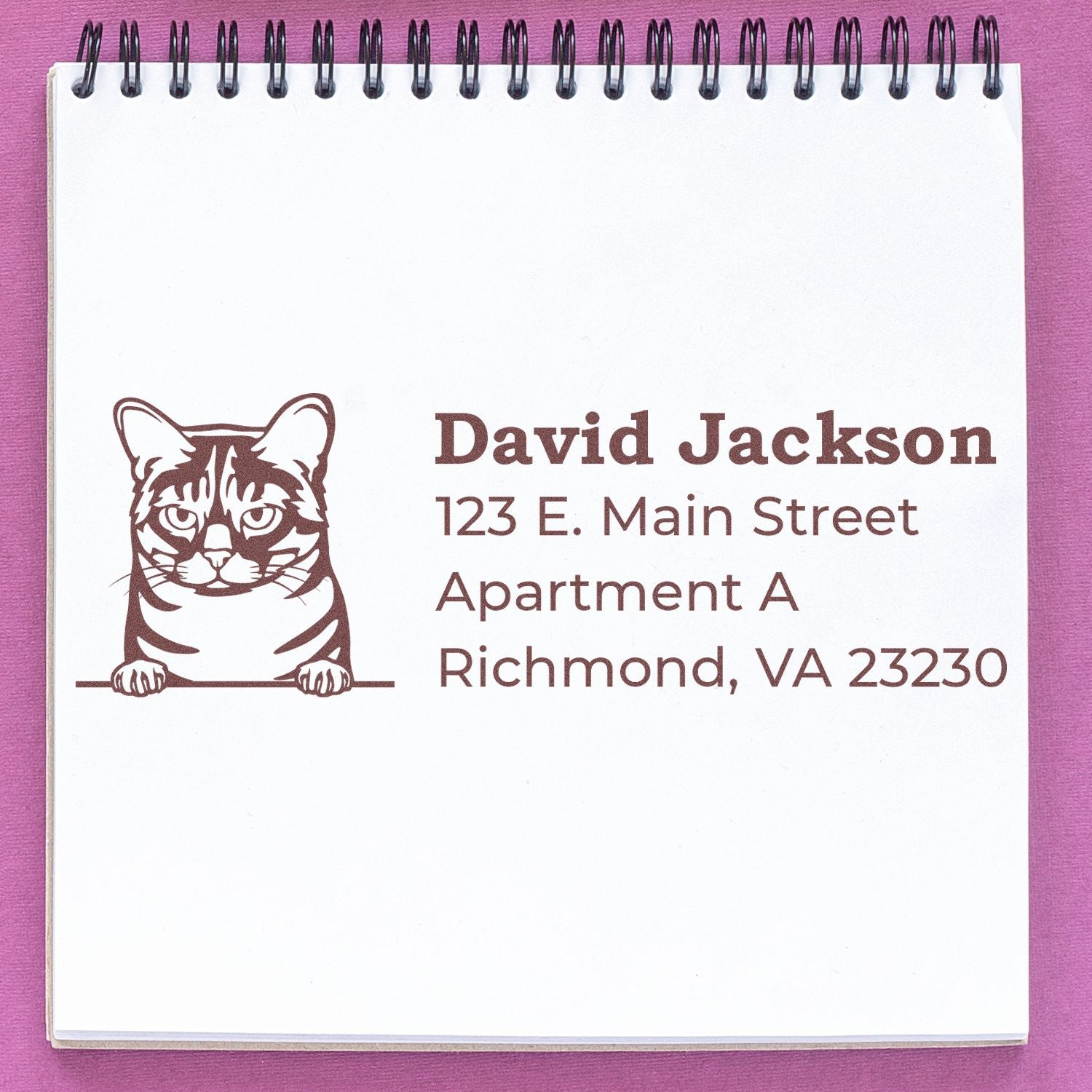 Custom cat return address rubber stamp for David Jackson, Richmond, VA apartment mailing labels.