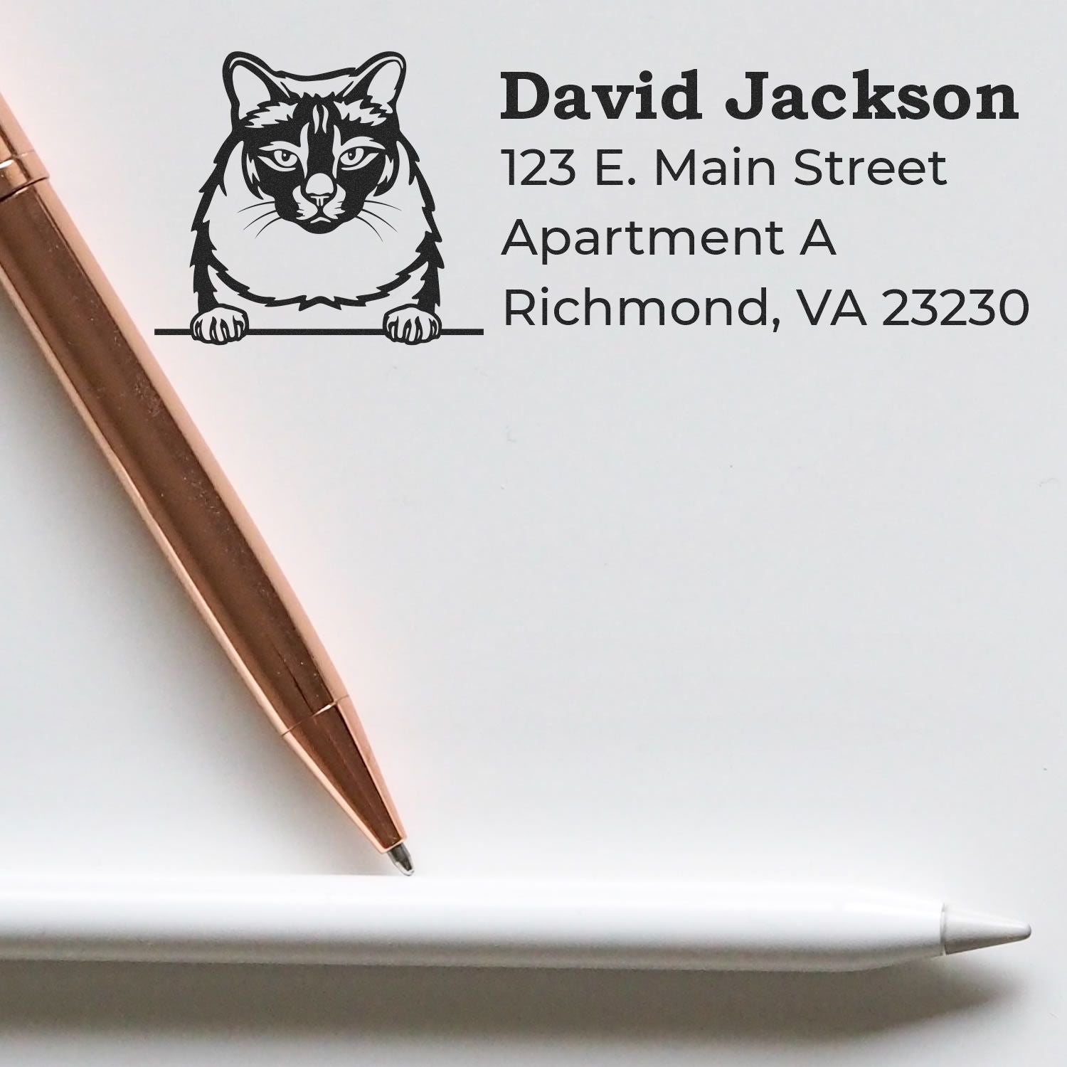 Personalized cat return address rubber stamp with name and Richmond, VA address for mail and envelopes