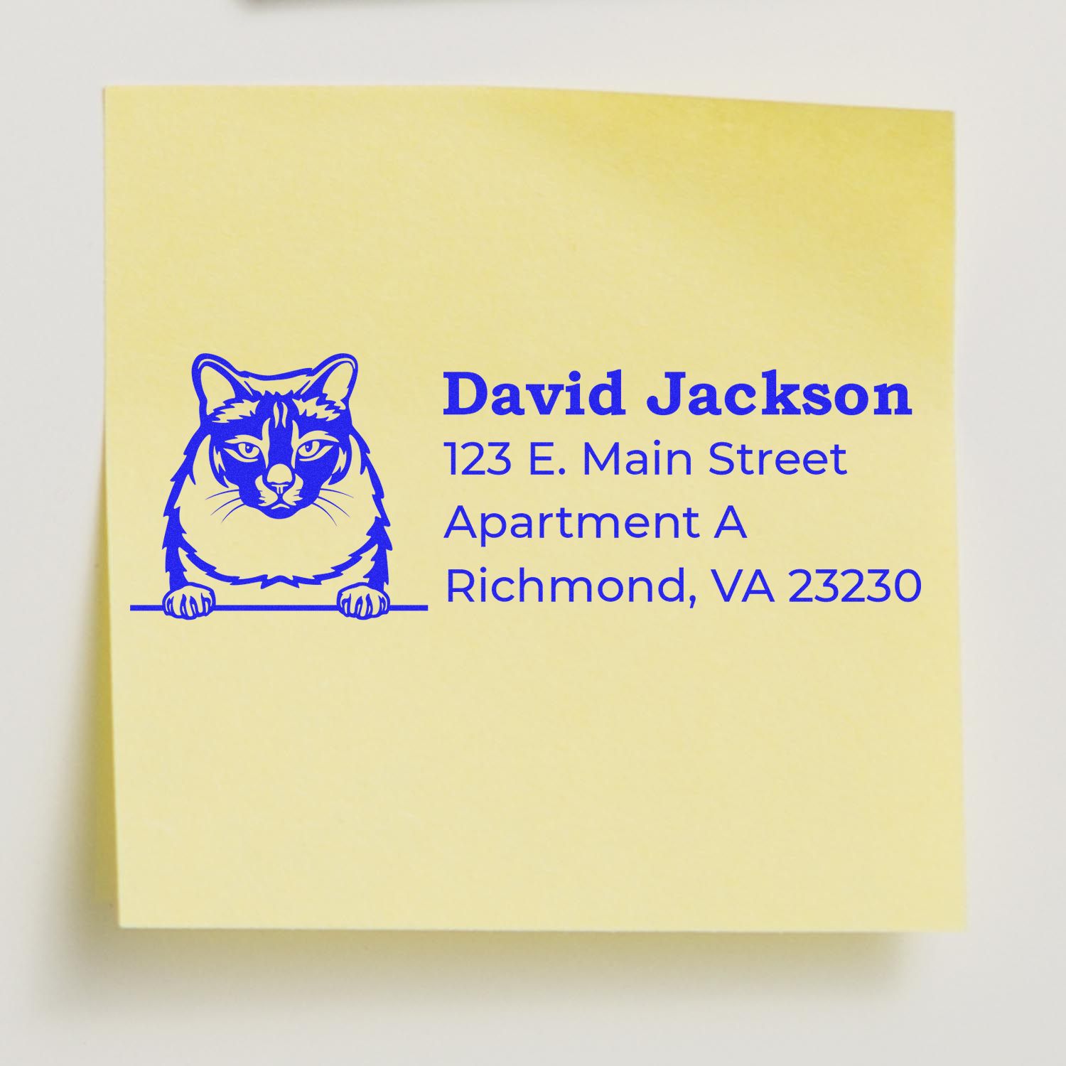 Custom return address rubber stamp with cat logo, name, street, apartment, and Richmond, VA address.