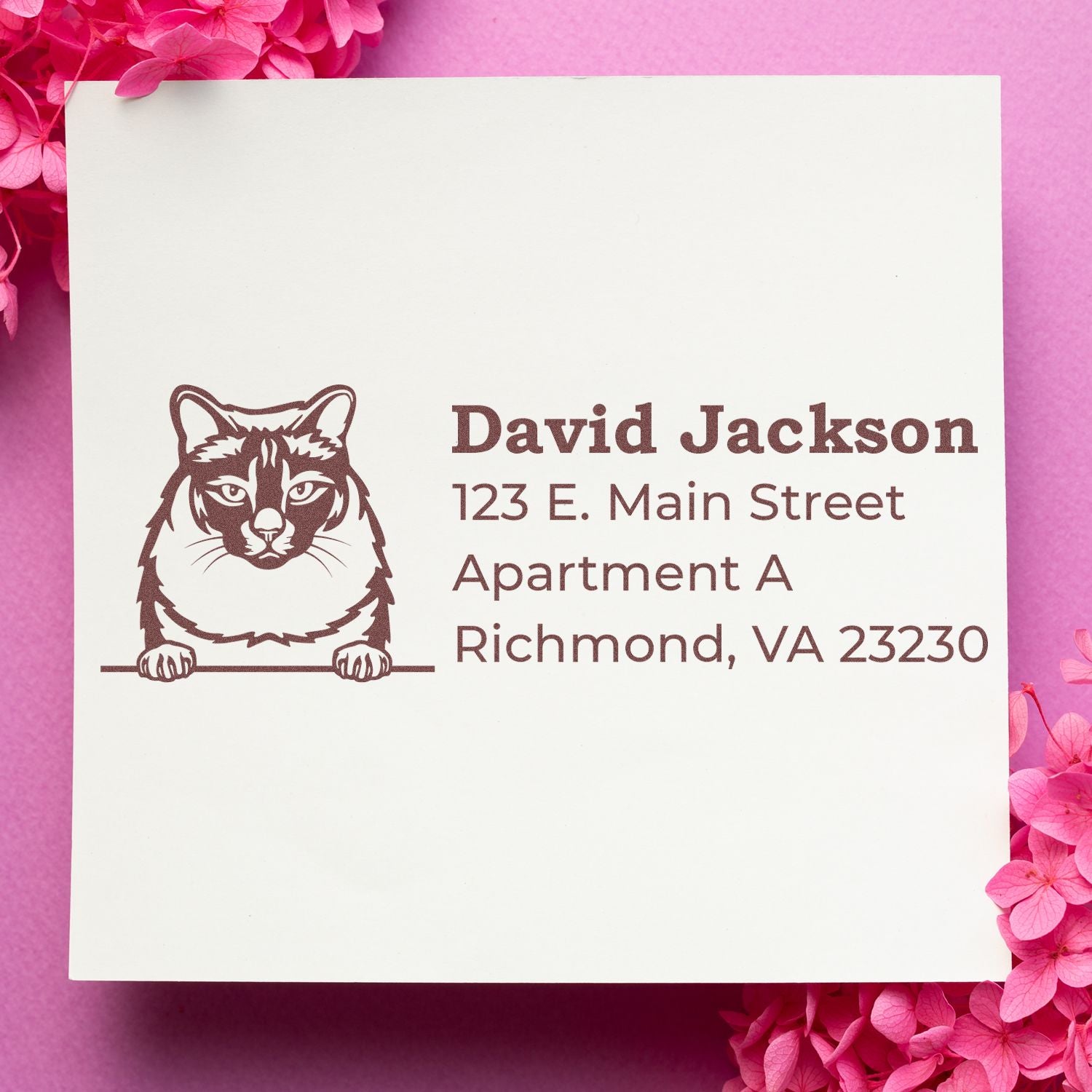 Personalized cat return address rubber stamp with David Jackson name and Richmond, VA address for stationery.