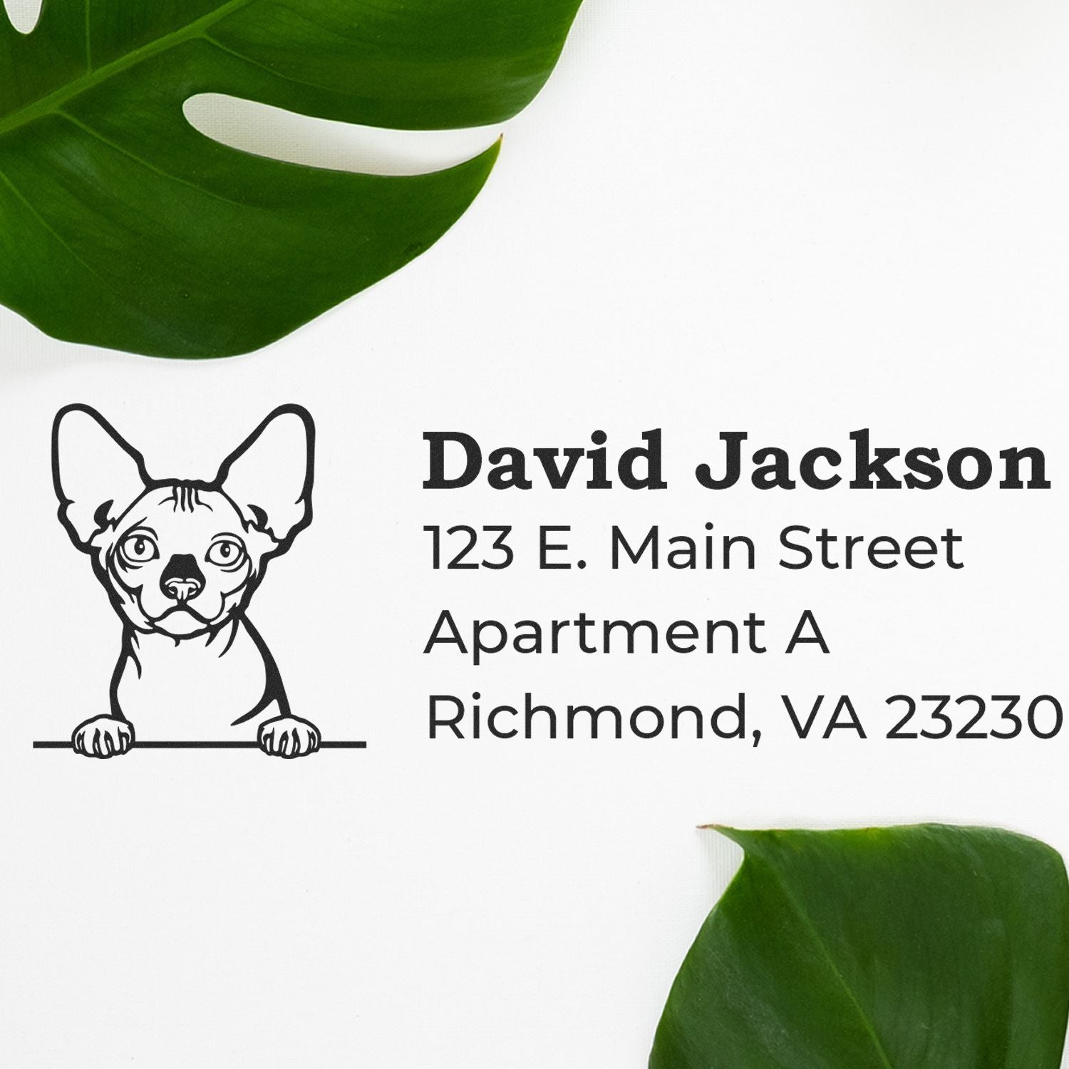 Custom dog address rubber stamp with pet logo and return address for David Jackson, Richmond VA 23230.