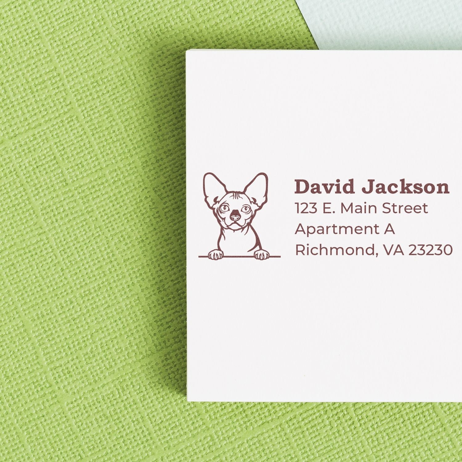Custom dog return address rubber stamp with personalized name and Richmond, VA mailing address.