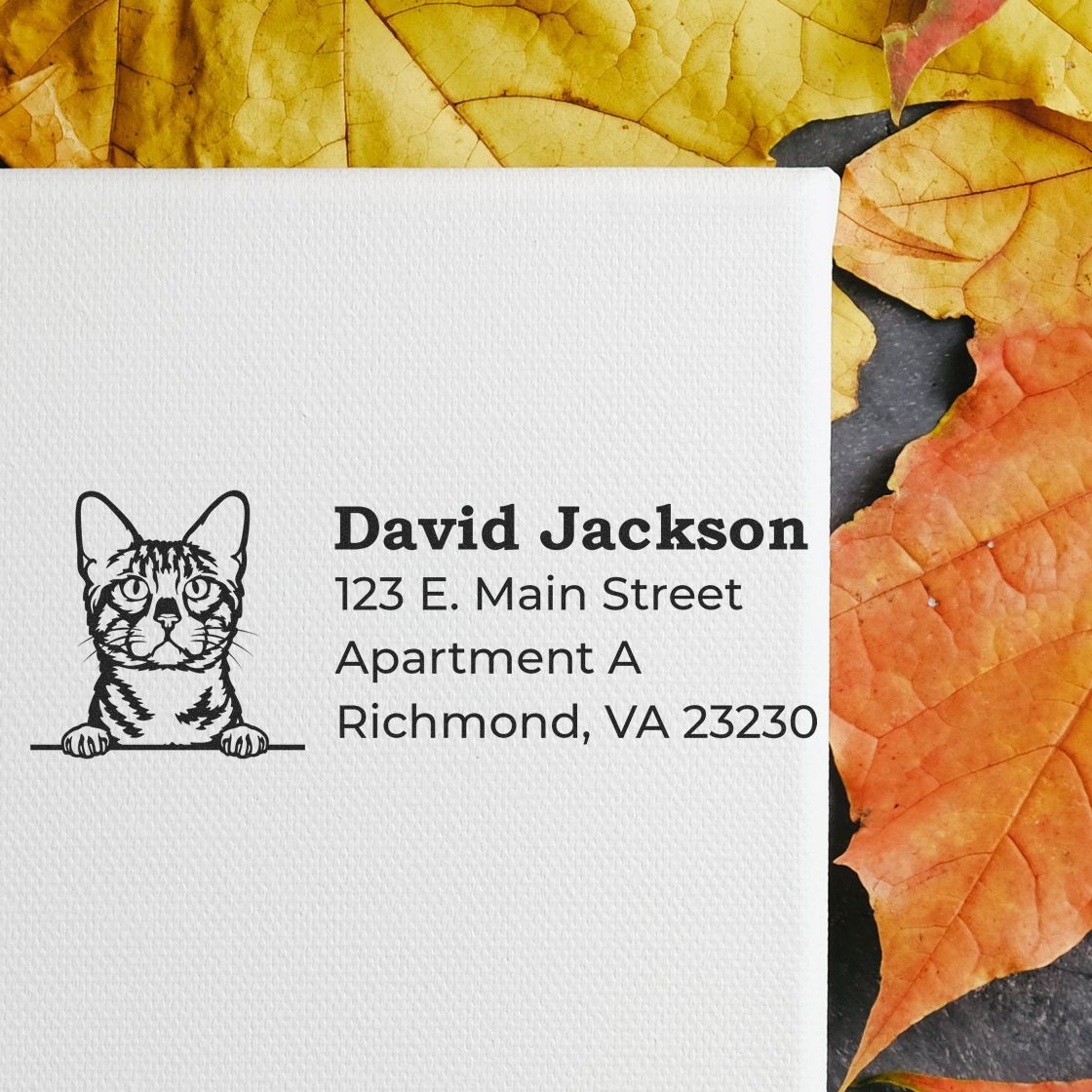 Personalized cat address rubber stamp on paper, ideal for return addresses, mailing labels, and custom pet-themed stationery.