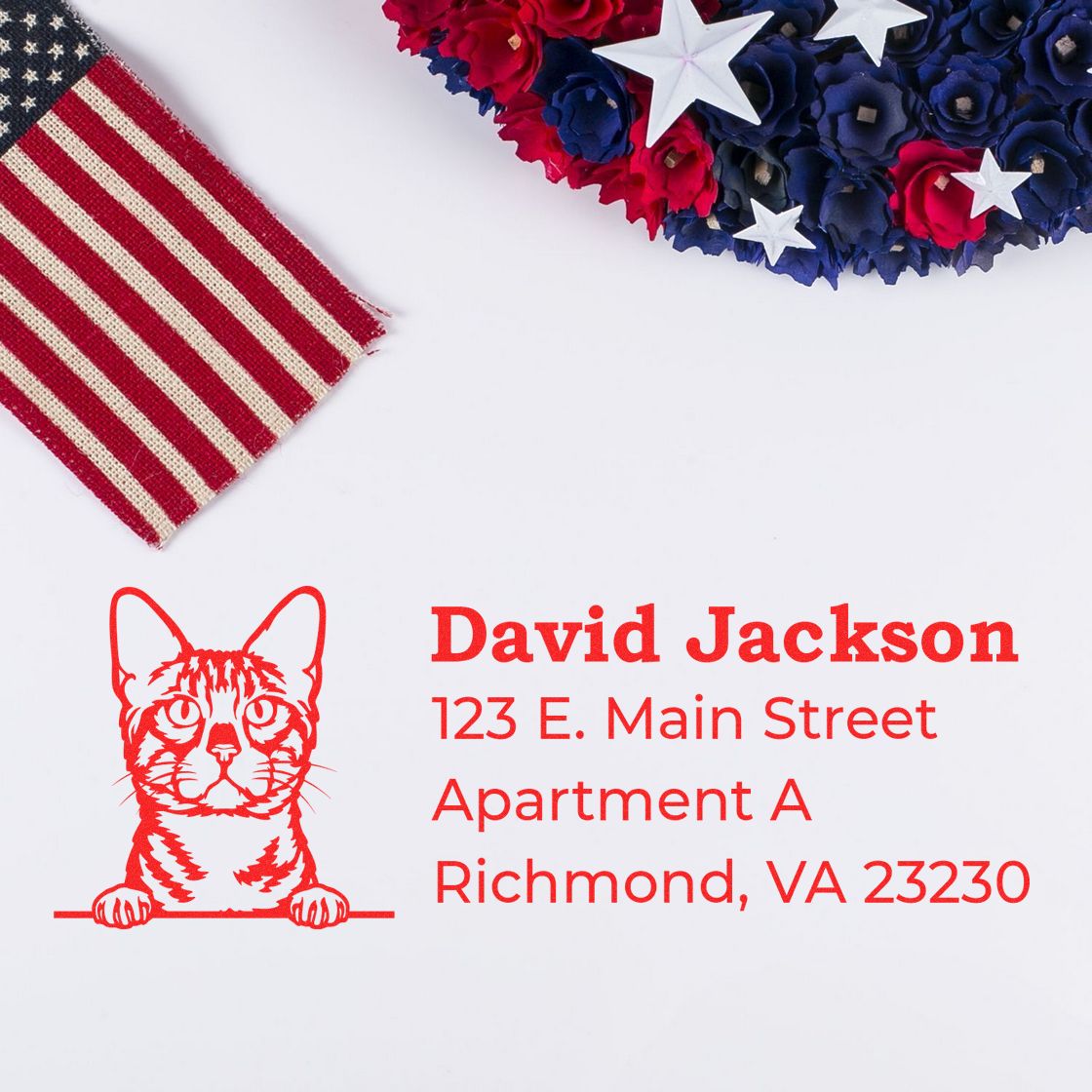 Custom cat return address rubber stamp for mail, featuring David Jackson, 123 E. Main Street, Richmond, VA 23230.