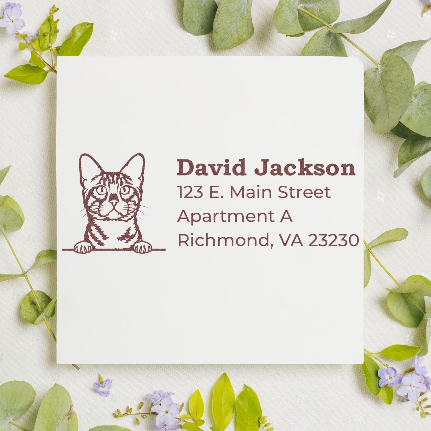 Personalized cat return address rubber stamp for David Jackson, 123 E. Main Street, Apartment A, Richmond, VA 23230.