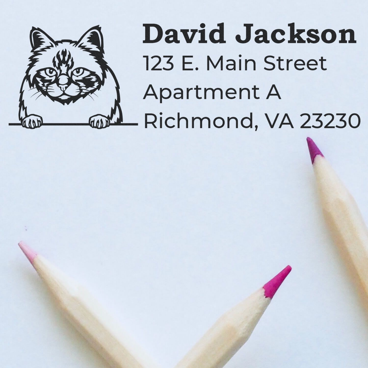 Custom cat address rubber stamp for David Jackson, 123 E. Main Street Apt A, Richmond, VA 23230.