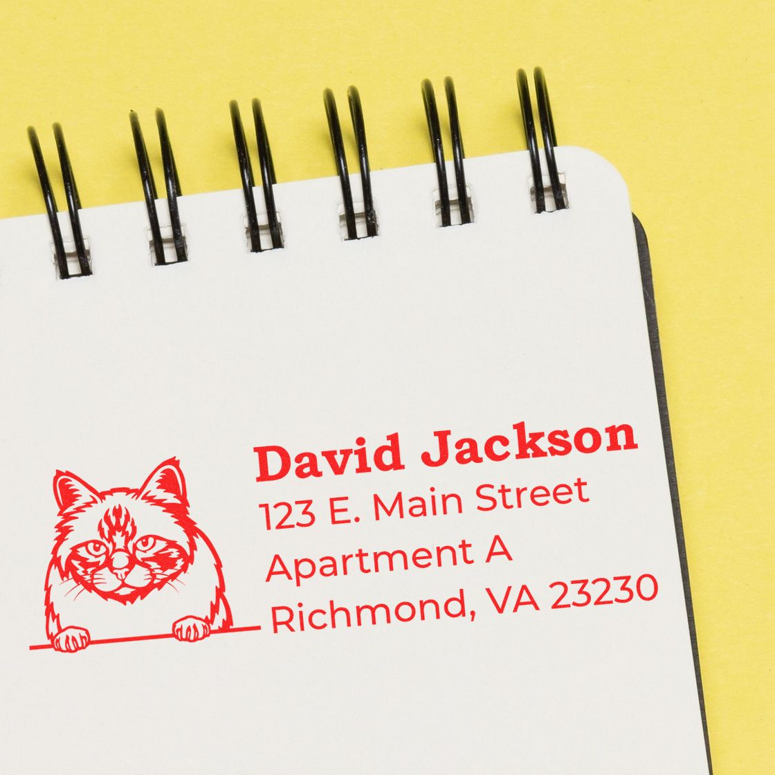Custom cat return address rubber stamp for personalized mail, with name and Richmond, VA address.