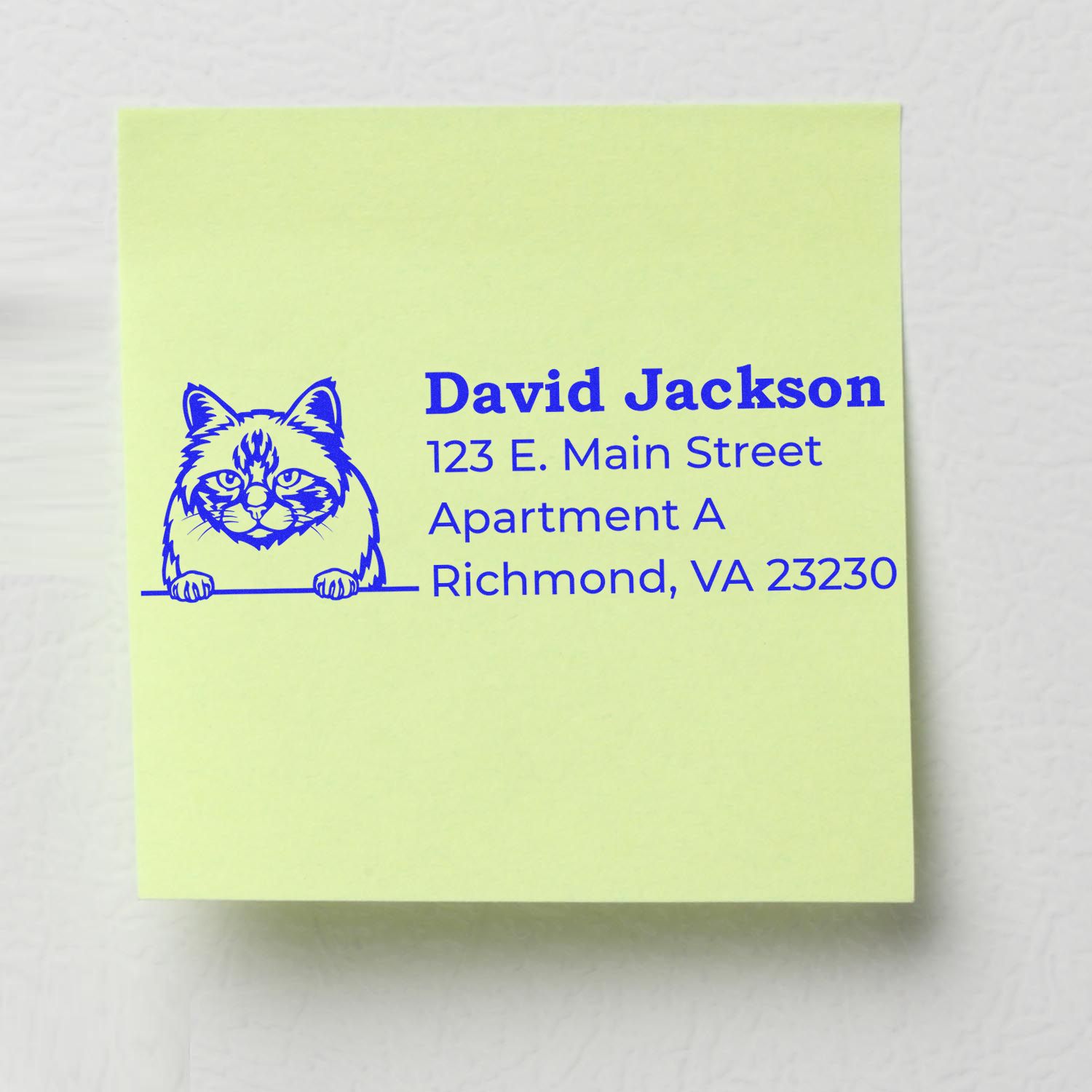 Custom cat address rubber stamp for David Jackson, 123 E. Main Street Apt. A, Richmond, VA 23230