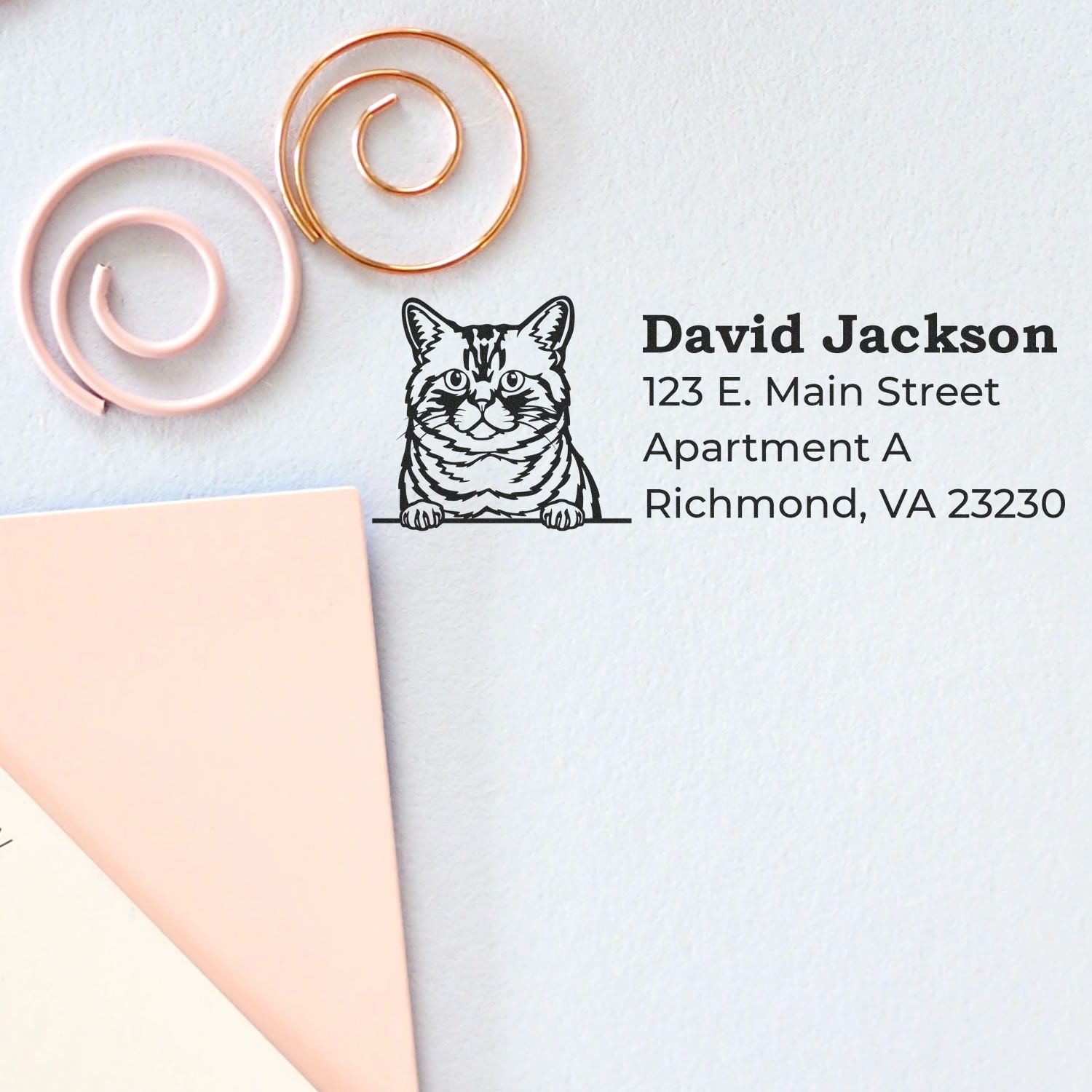 Custom cat return address rubber stamp with name and Richmond, VA address for mailing envelopes
