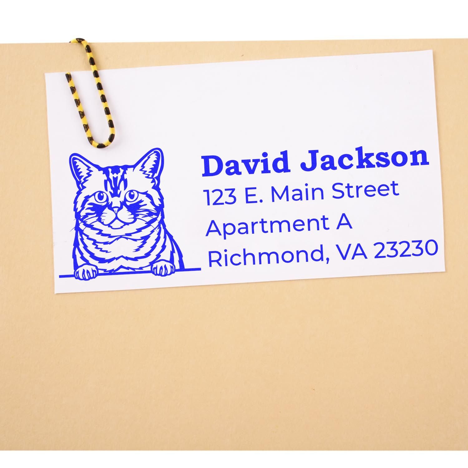 Custom cat address rubber stamp impression with personalized name and mailing address for envelopes.