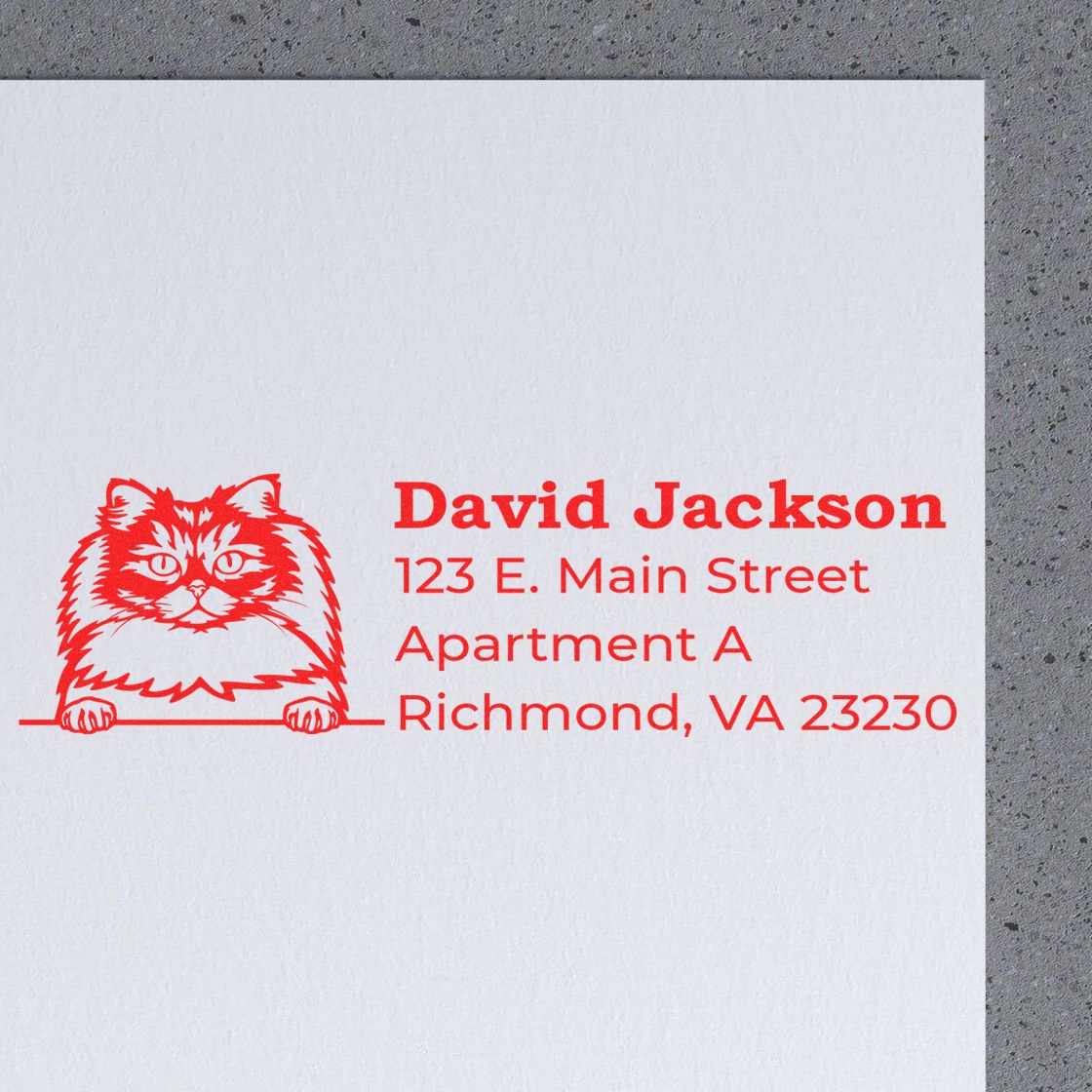 Personalized cat return address rubber stamp with name and Richmond, VA address for envelopes.