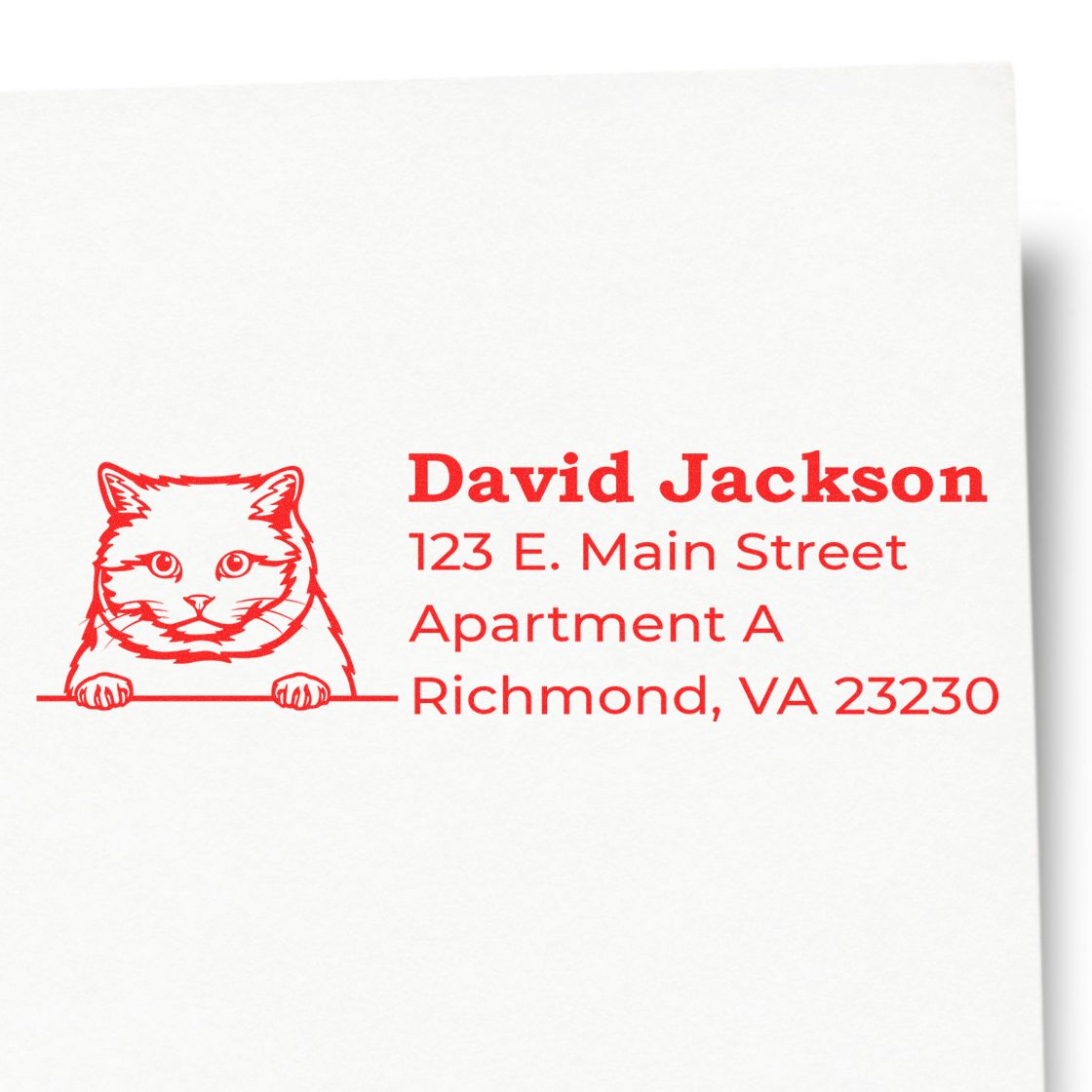 Custom cat address rubber stamp with David Jackson return address, 123 E. Main Street Apartment A, Richmond, VA 23230.