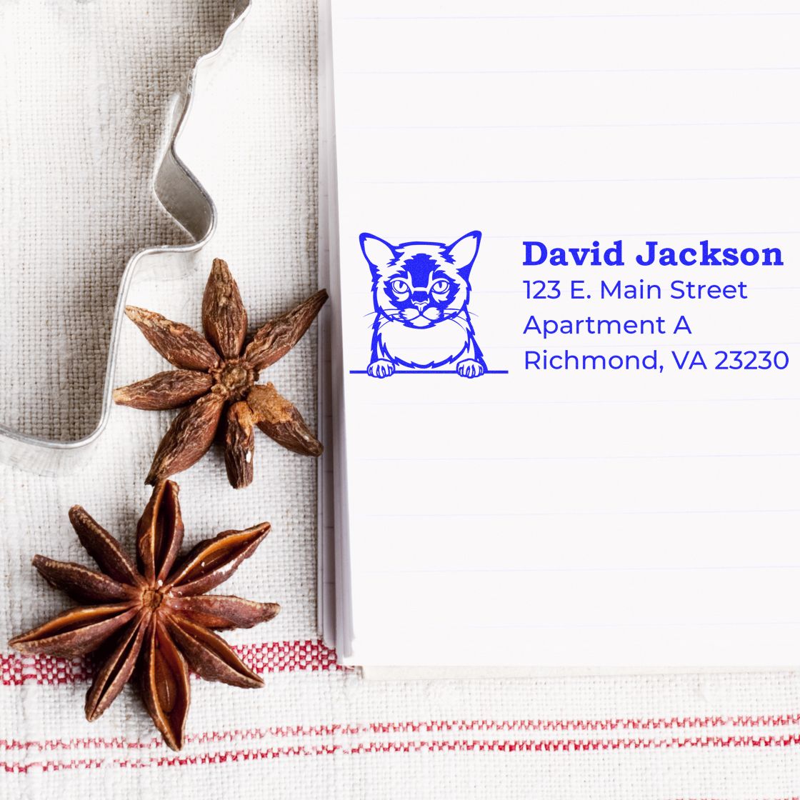 Custom cat logo address rubber stamp imprint in blue on lined paper with name and Richmond, VA mailing address.