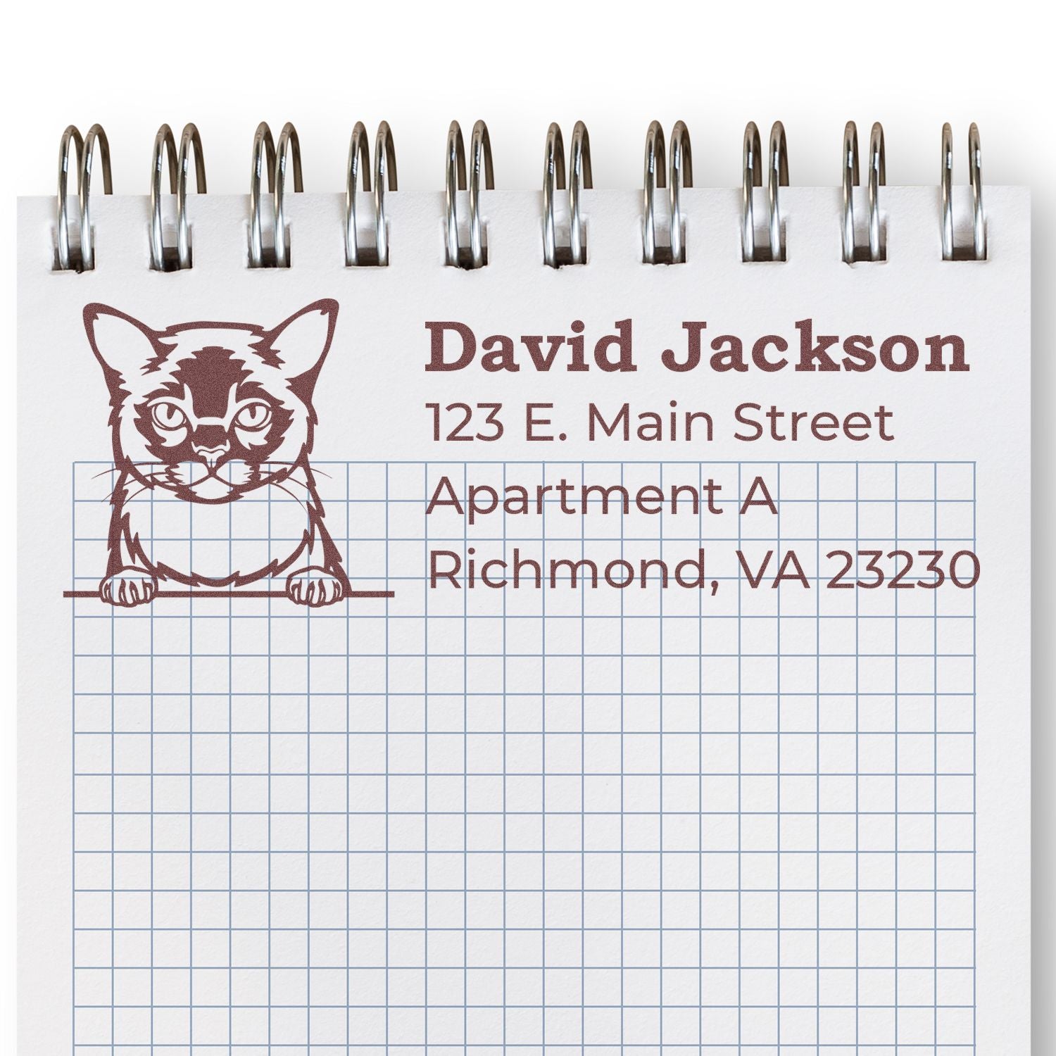 Custom cat address rubber stamp design on notebook with David Jackson, 123 E. Main Street, Apartment A, Richmond, VA 23230.