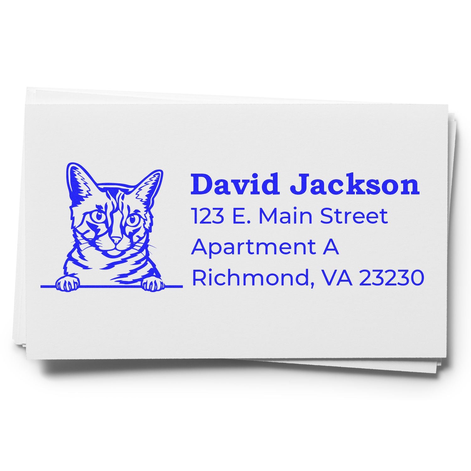 Custom cat address rubber stamp for David Jackson, Richmond VA 23230, with apartment mailing details.