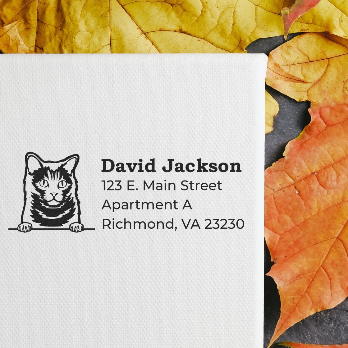 Custom cat return address rubber stamp with David Jackson mailing address on a white envelope