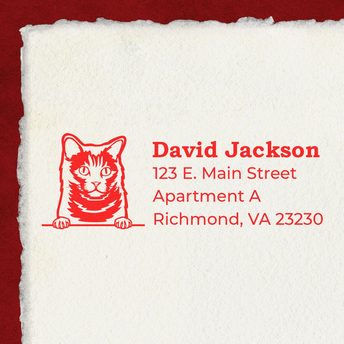 Custom cat address rubber stamp for David Jackson, Richmond, VA, with personalized mailing design.