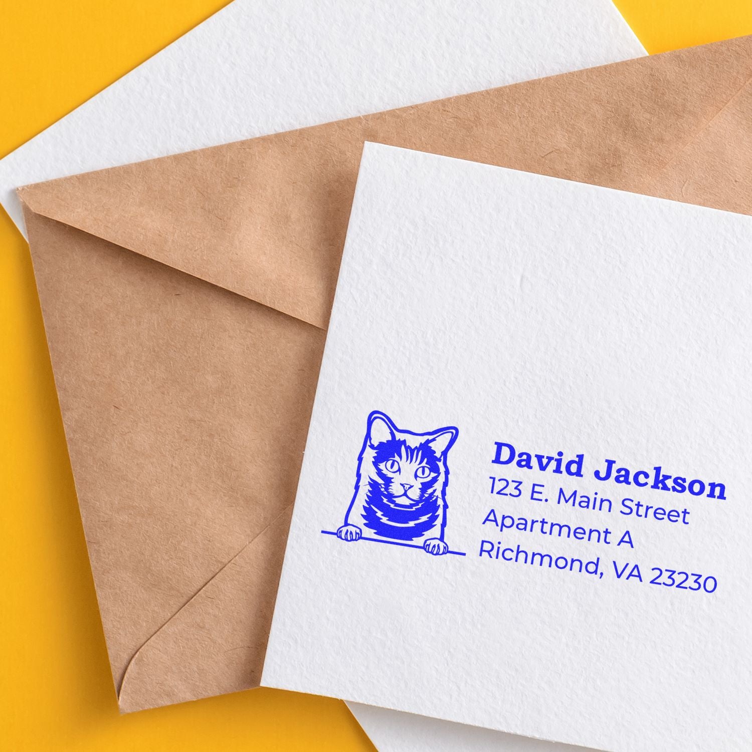 Custom rubber address stamp with cat logo on white envelope and kraft mailers for personalized business mailing.