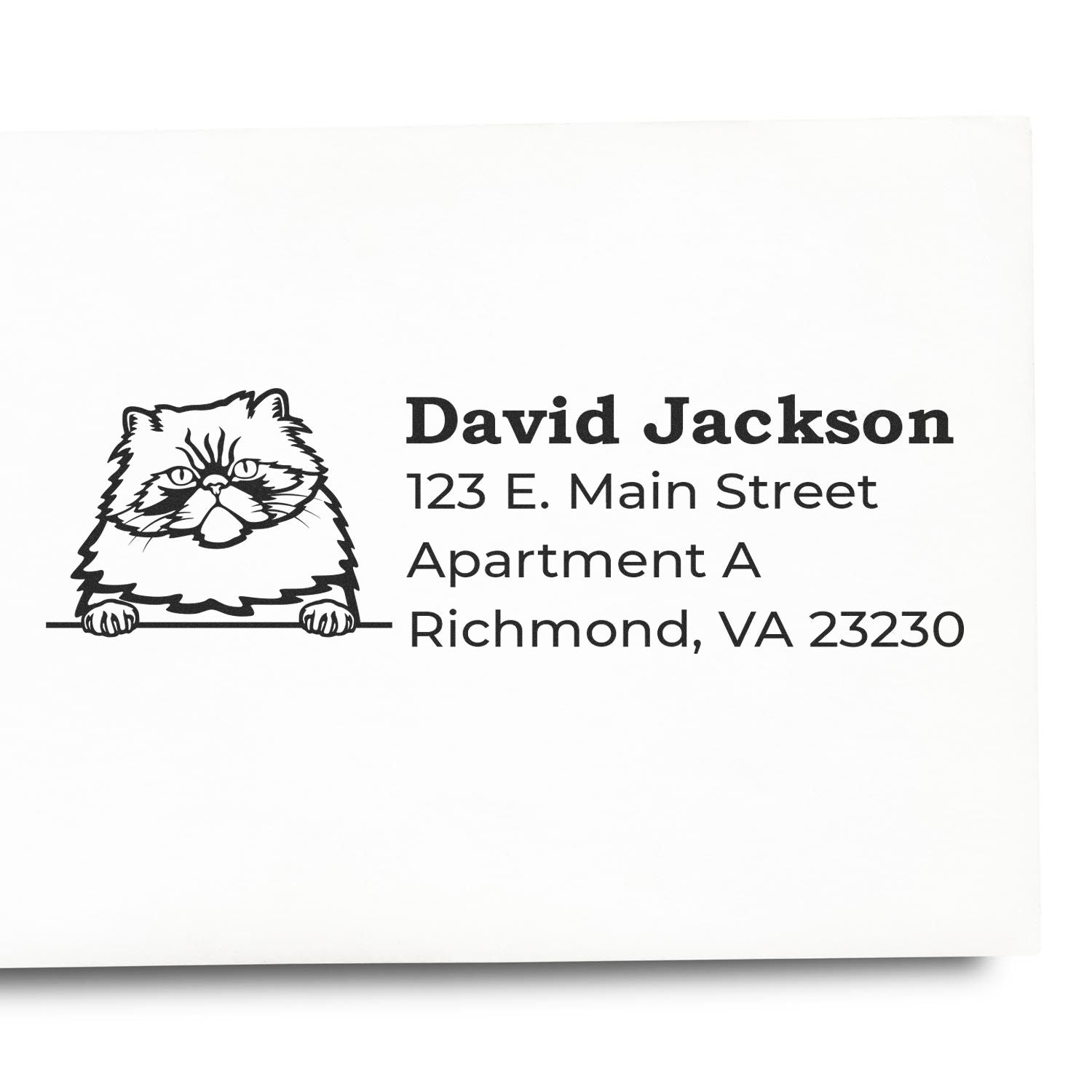 Custom cat address rubber stamp for David Jackson, 123 E. Main Street, Apartment A, Richmond, VA 23230