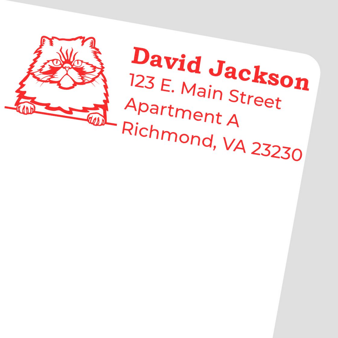 Custom cat address rubber stamp with personalized name and mailing address for mailing labels.