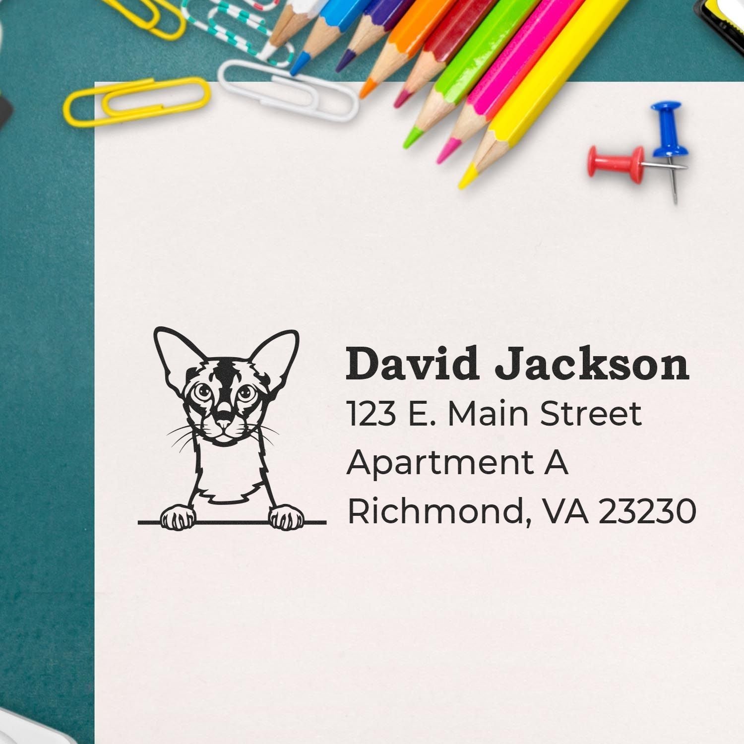 Personalized rubber stamp with cat logo and return address for David Jackson, Richmond, VA apartment, shown on stationery.