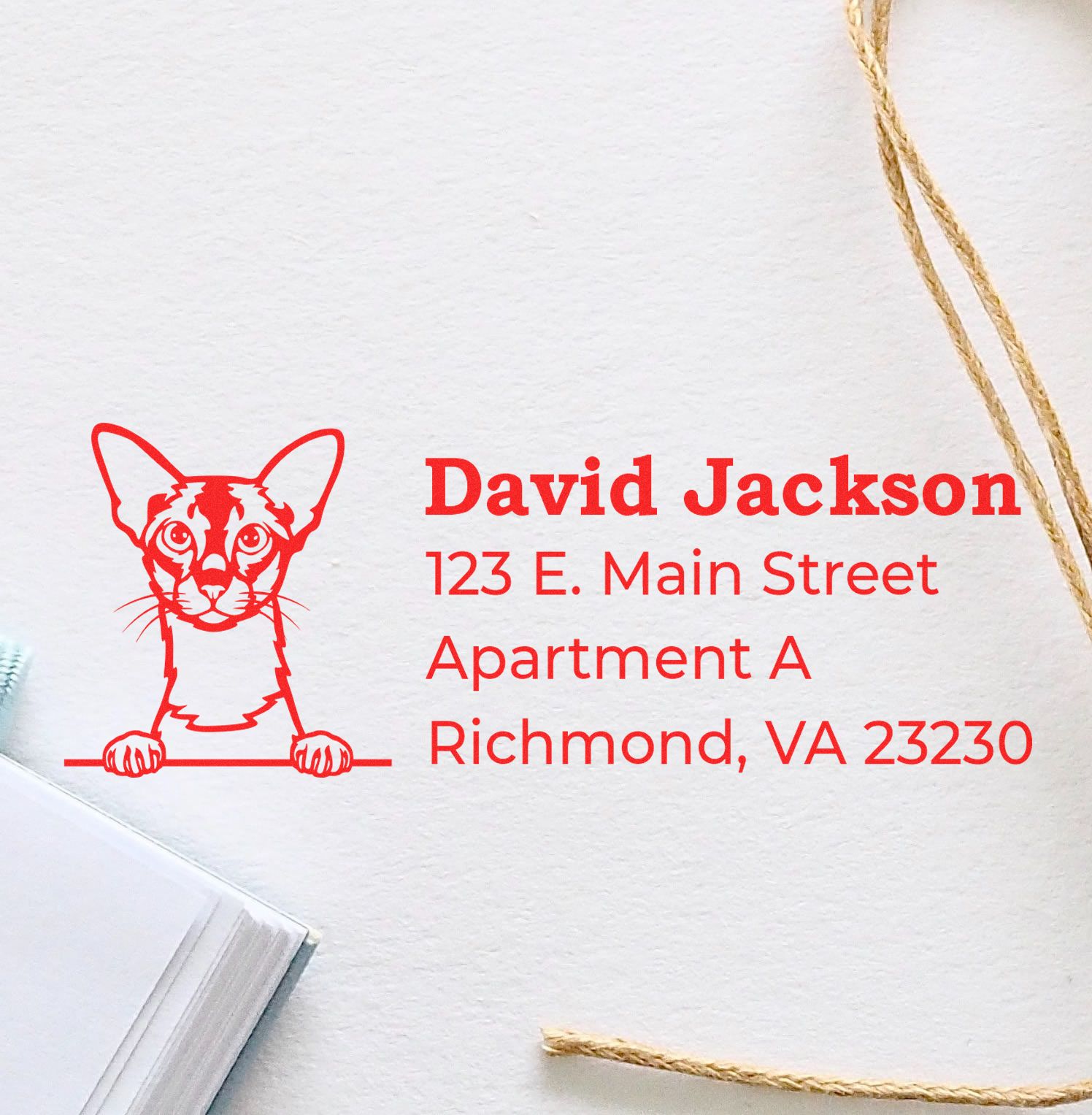 Custom cat return address rubber stamp for David Jackson, 123 E. Main Street Apartment A, Richmond, VA 23230.