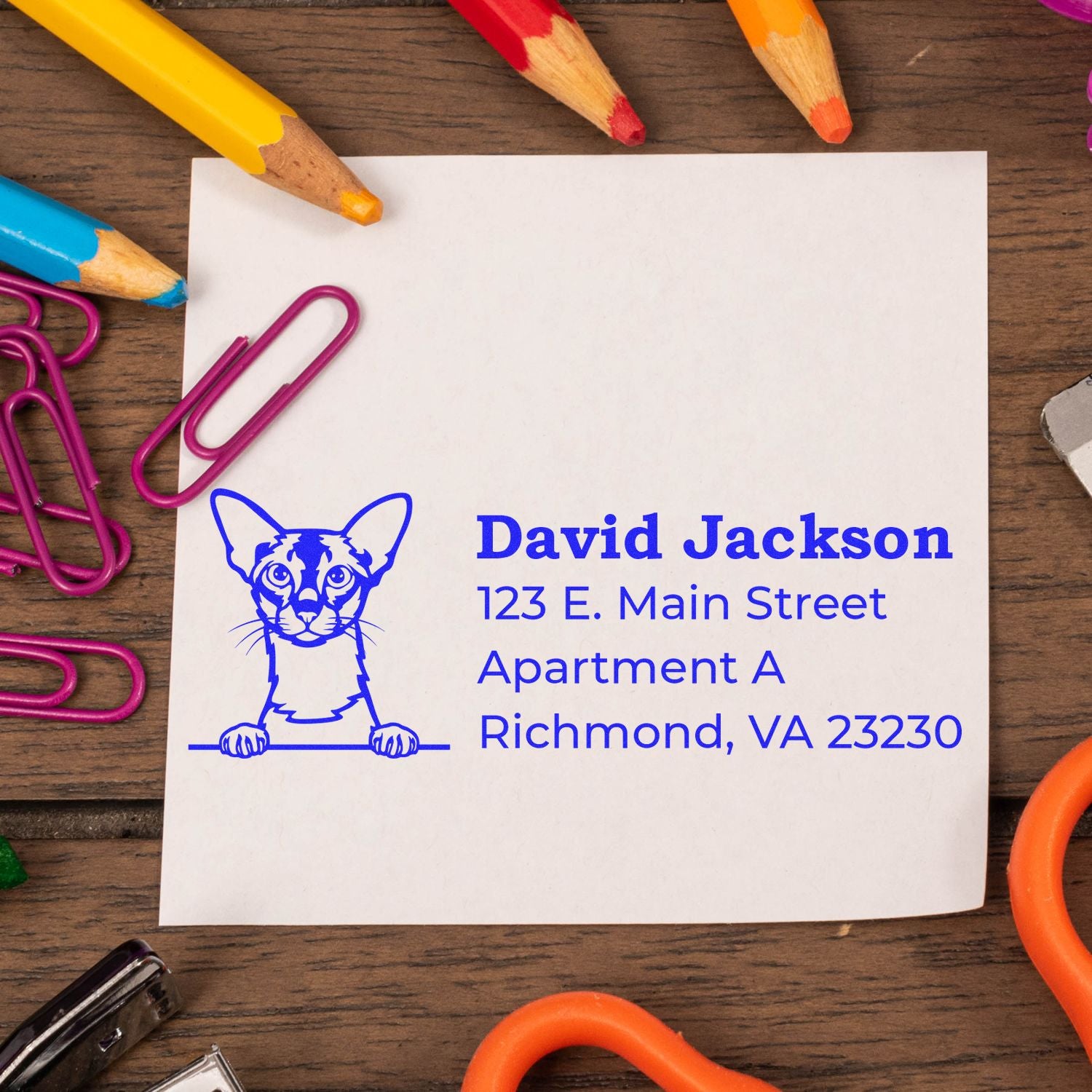 Custom cat return address rubber stamp with name and Richmond, VA mailing address for personalized stationery.