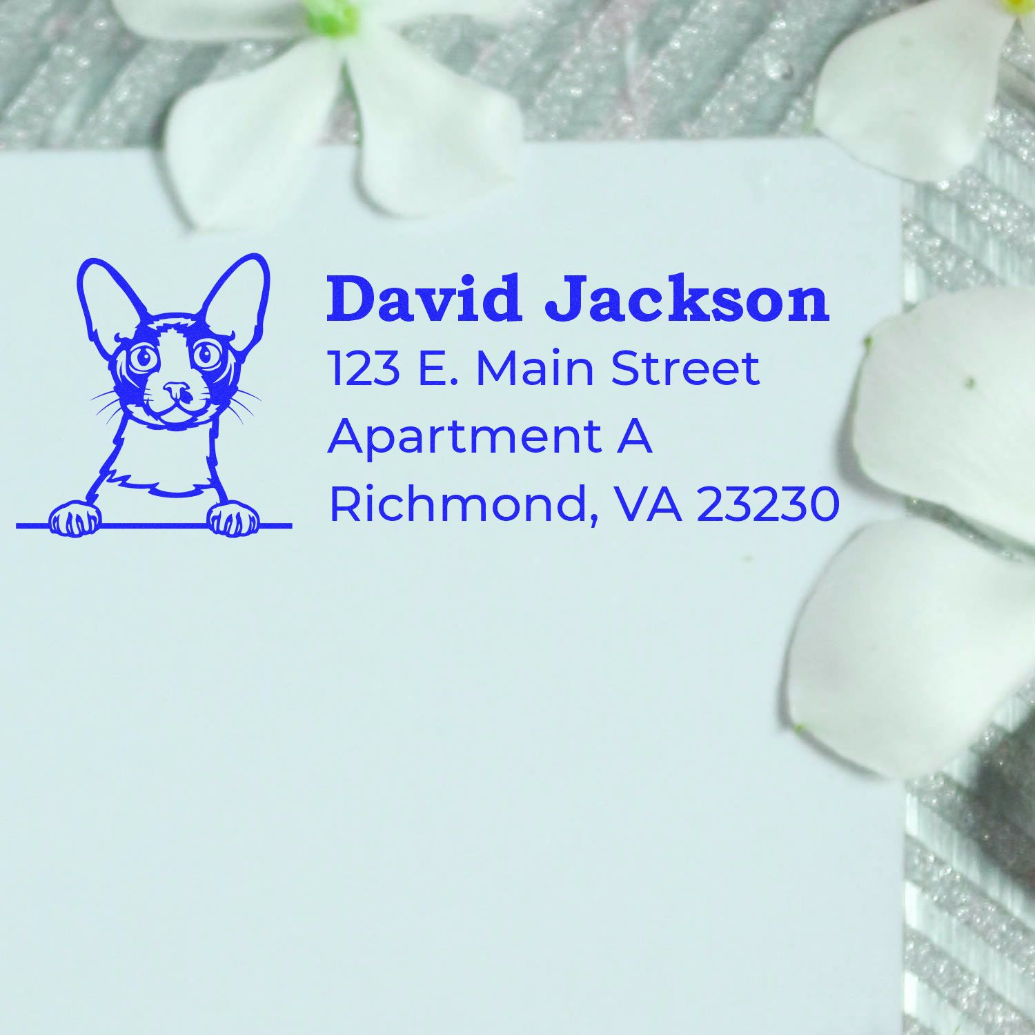 Custom dog address rubber stamp for David Jackson, Richmond, VA return mailing.