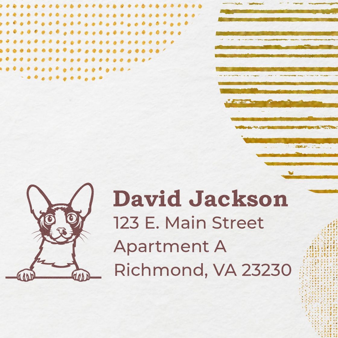 Custom return address rubber stamp with dog illustration for David Jackson, 123 E. Main Street, Richmond, VA 23230.