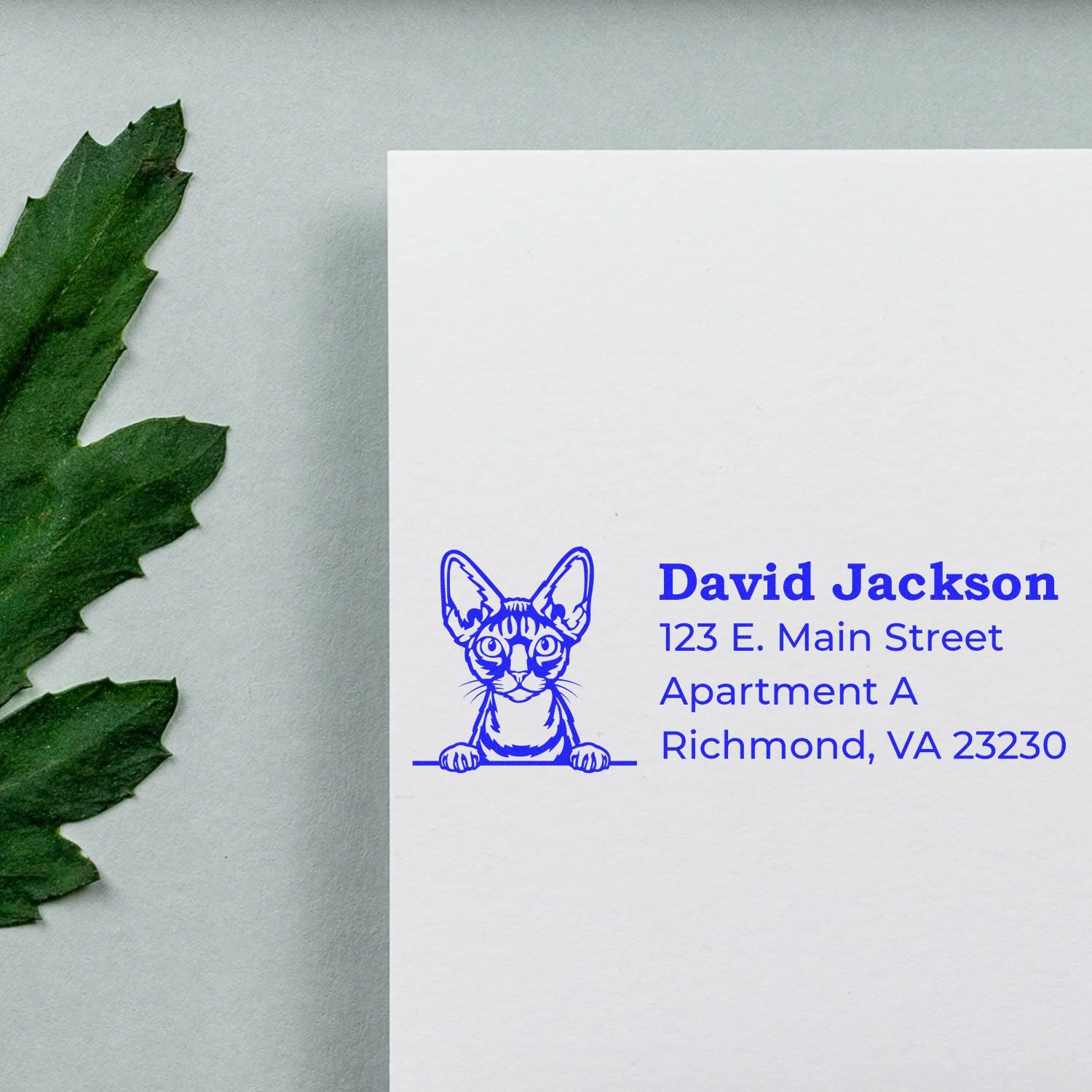 Custom cat return address rubber stamp impression on envelope with David Jackson mailing details in blue.