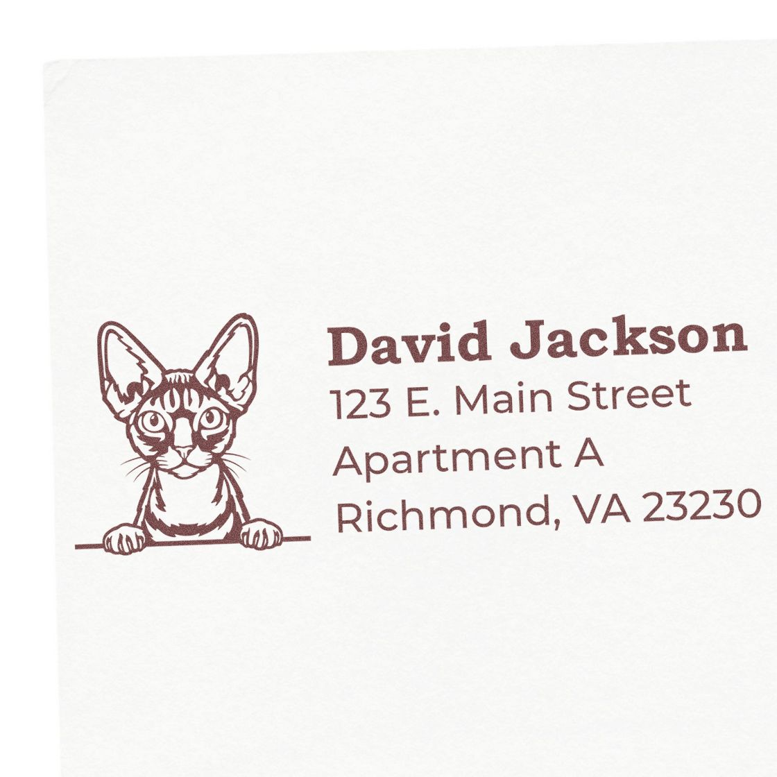 Custom rubber return address stamp with cat illustration for David Jackson, 123 E. Main Street Apt A, Richmond, VA 23230.