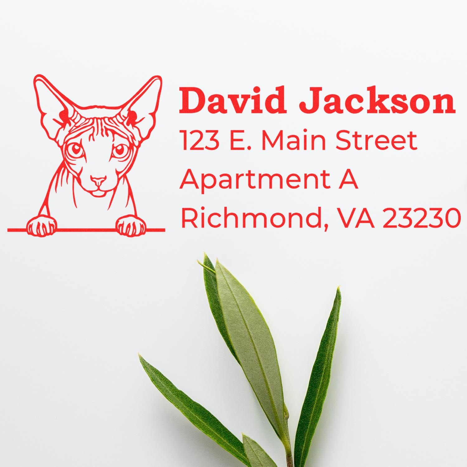 Personalized cat address rubber stamp for David Jackson, 123 E. Main Street, Apartment A, Richmond, VA 23230.