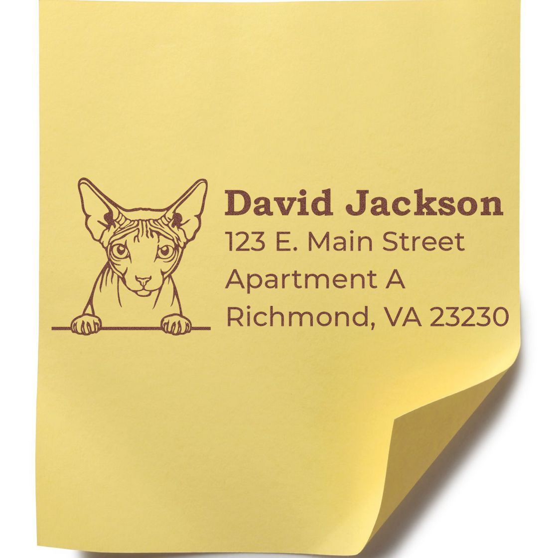 Custom address rubber stamp with hairless cat illustration and return address for David Jackson in Richmond, VA