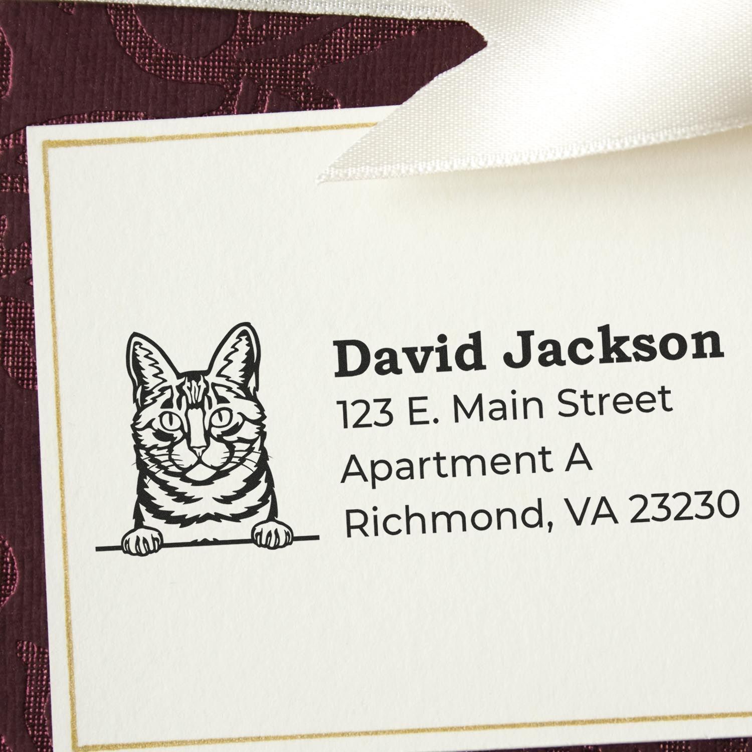Custom cat return address rubber stamp for David Jackson, Richmond, VA apartment mail.