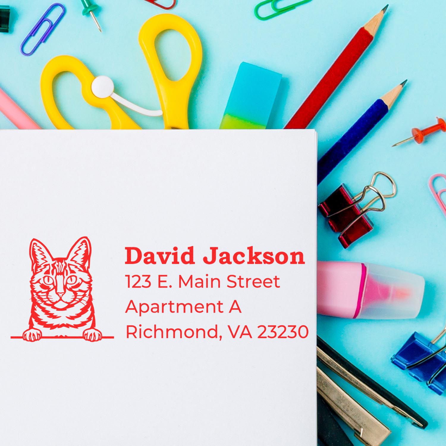 Custom cat return address rubber stamp with David Jacksons Richmond, VA mailing details on stationery.