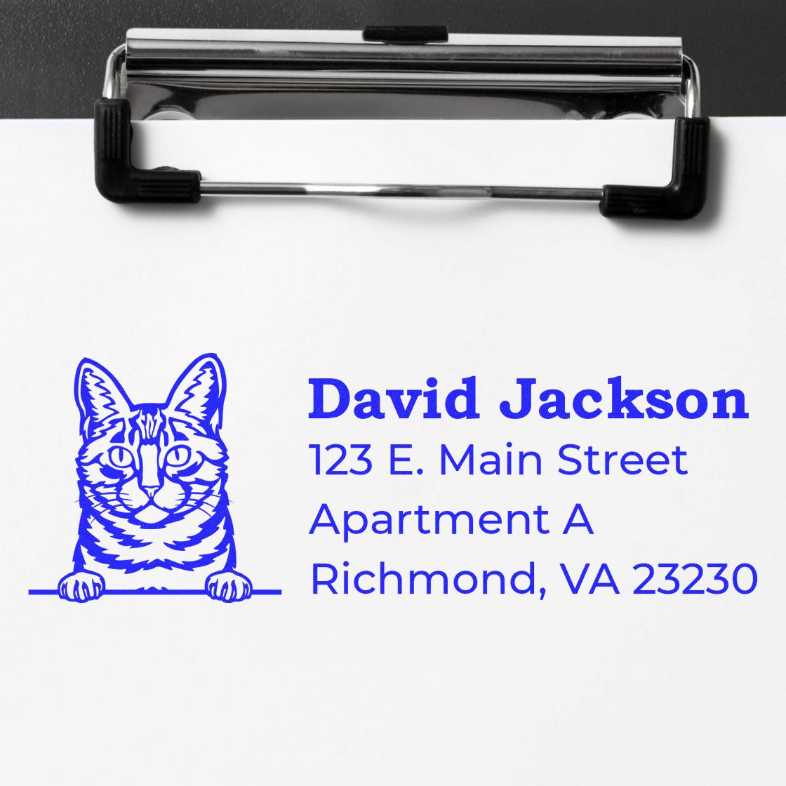 Custom cat address rubber stamp imprint with David Jackson return address for envelopes and mailing