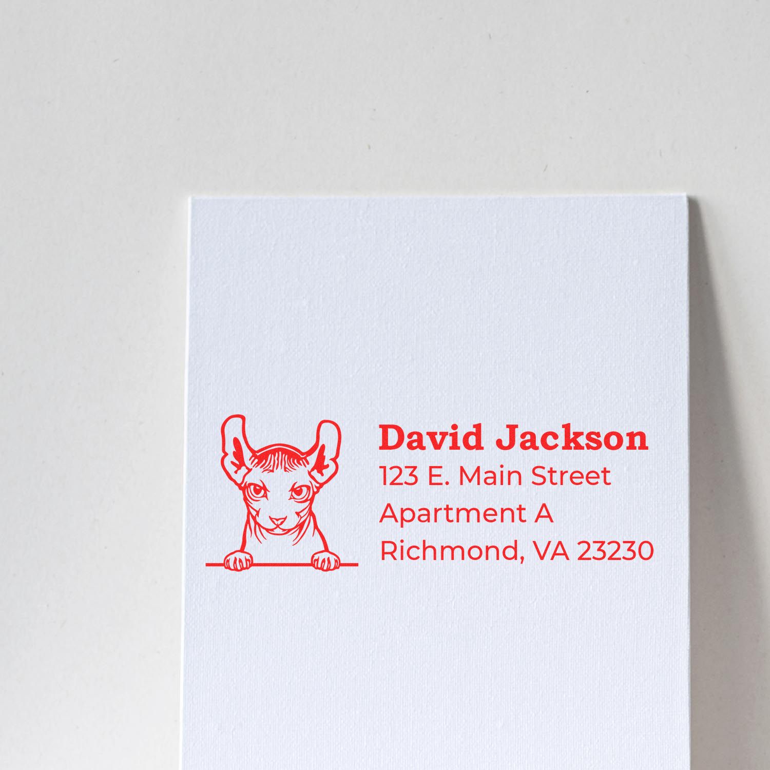 Custom address rubber stamp with cat illustration and personalized name and mailing address for envelopes.