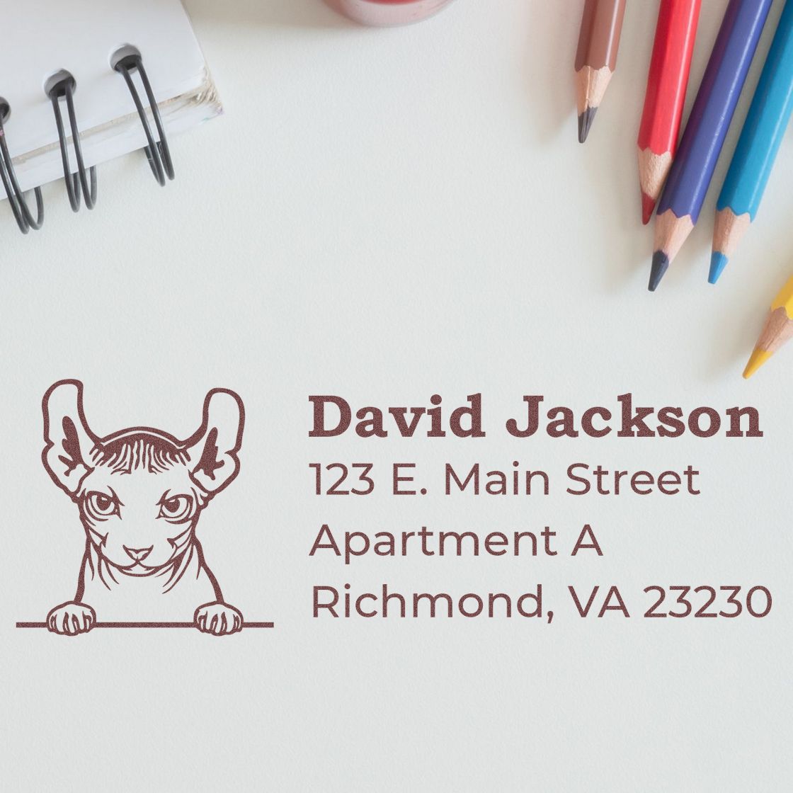 Custom rubber return address stamp with cat illustration, personalized for David Jackson, Richmond VA envelopes.