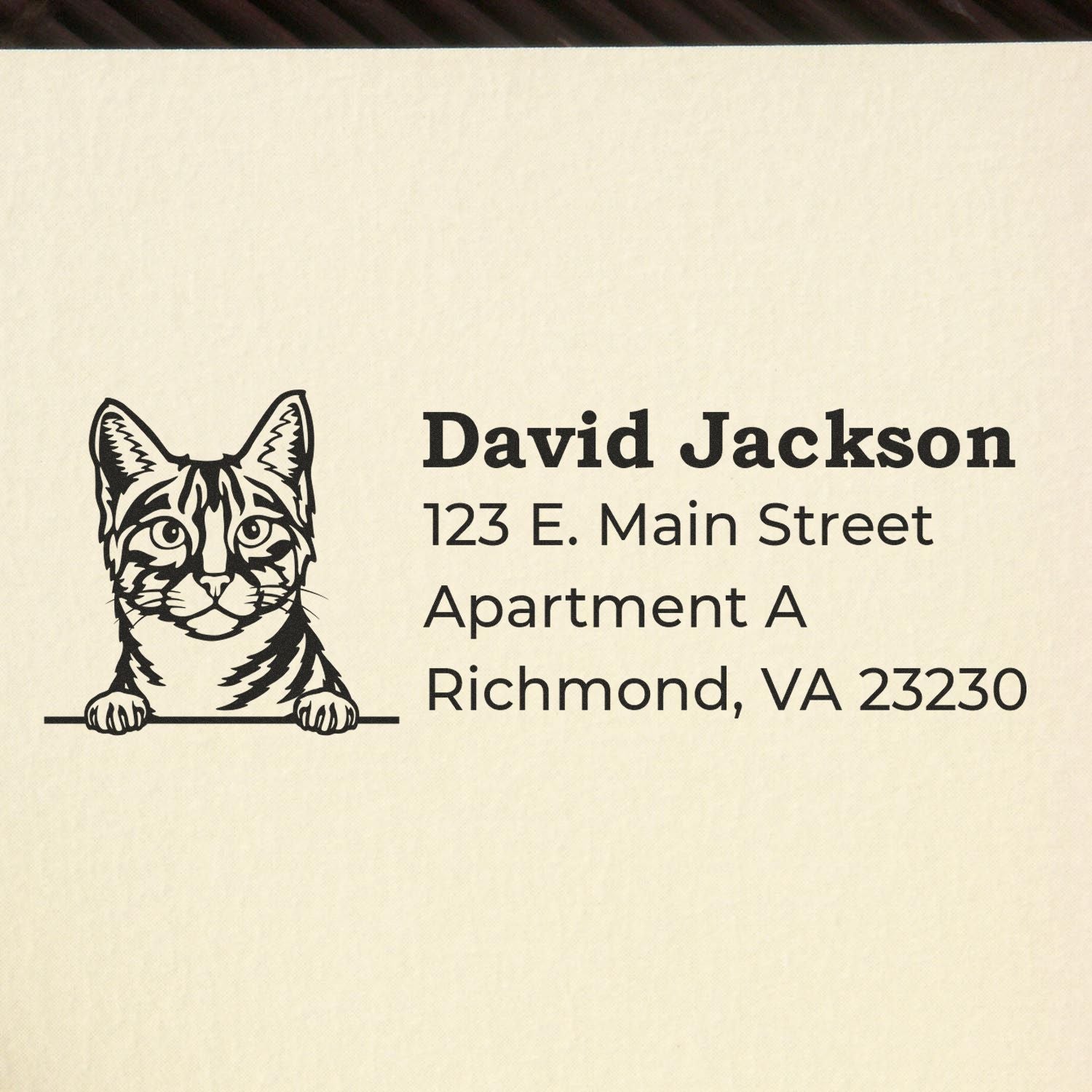 Personalized cat return address rubber stamp for envelopes and packages, featuring David Jacksons Richmond, VA address.