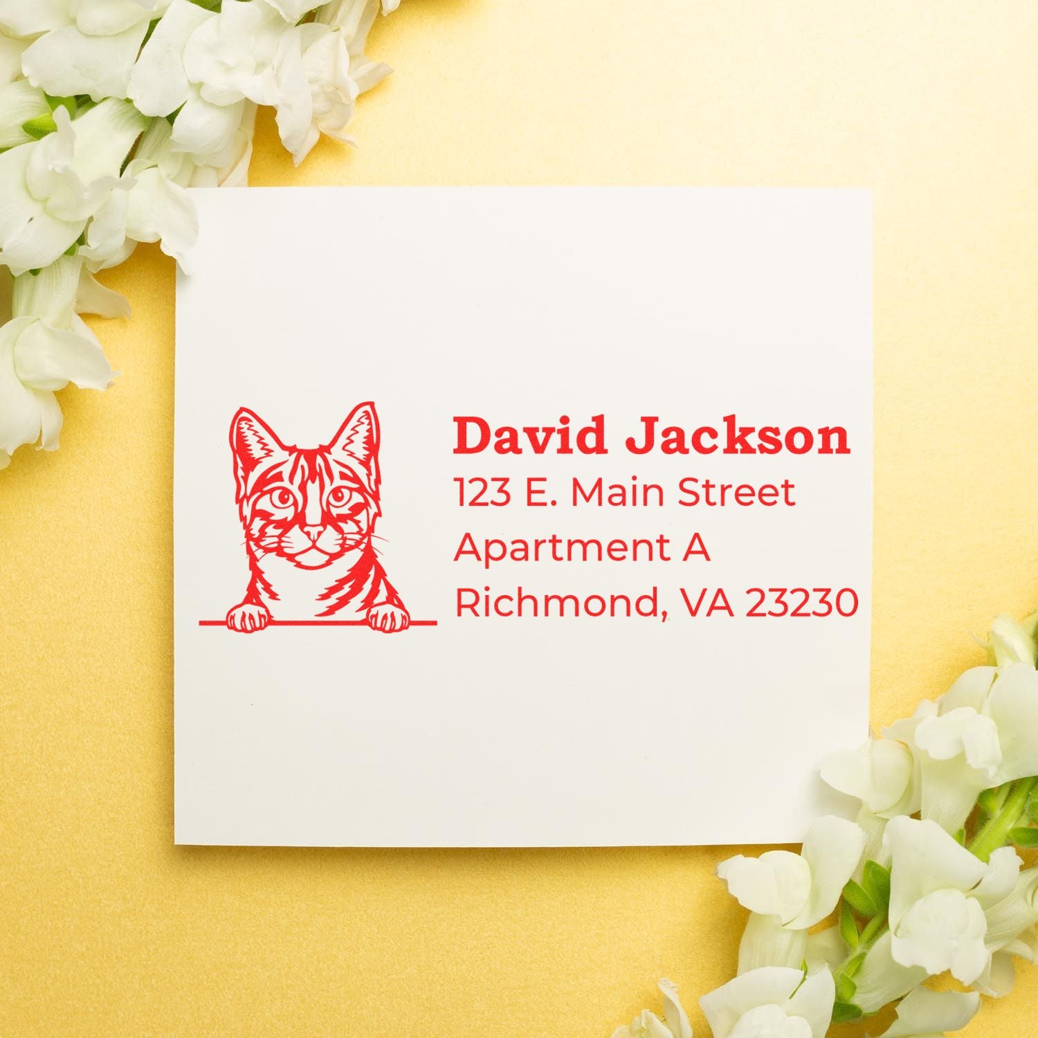 Personalized cat address rubber stamp mockup for return mail, with custom name, street address, and red cat illustration.