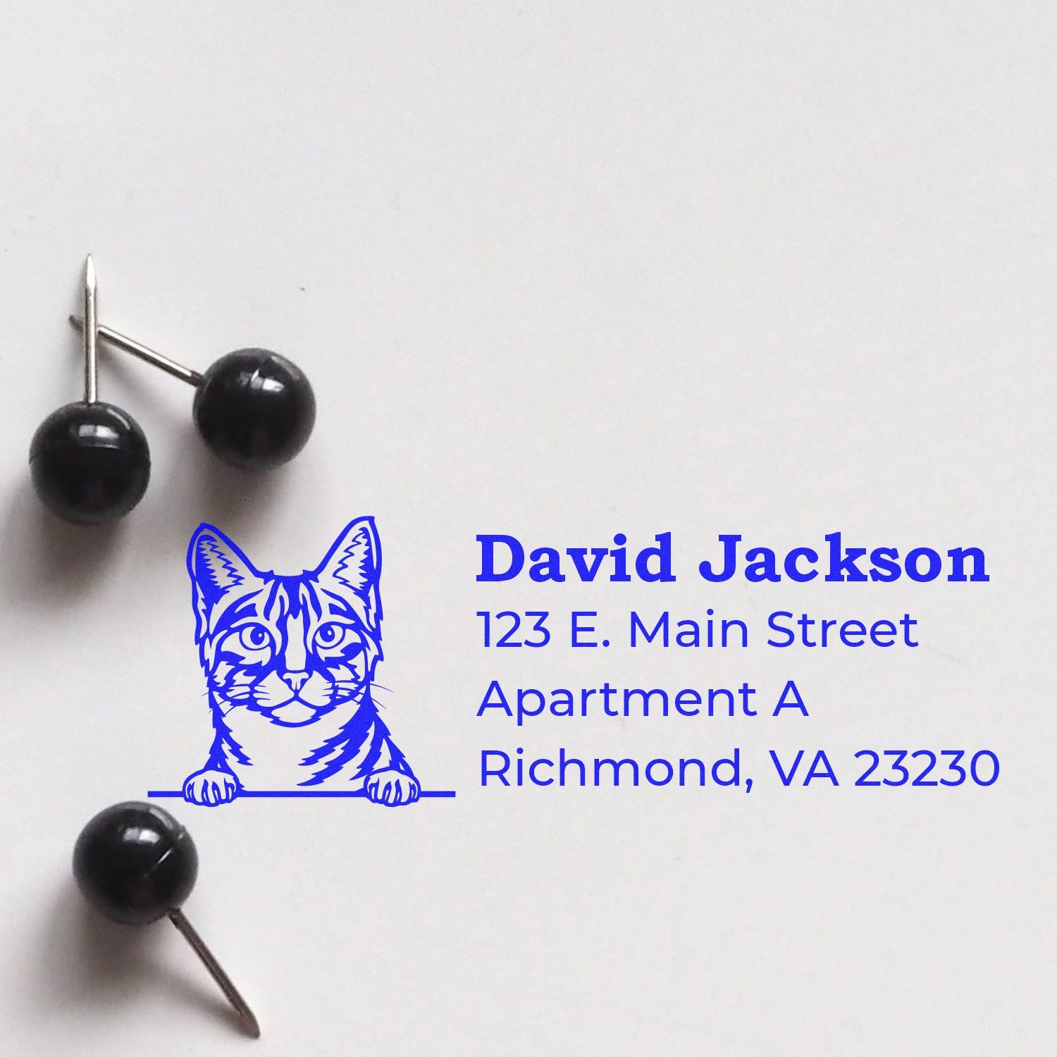 Personalized cat address rubber stamp with name and Richmond, VA return address in blue ink-style print.