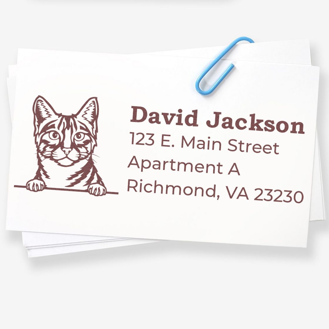 Custom cat address rubber stamp with name and mailing address for personalized envelopes and return address use.