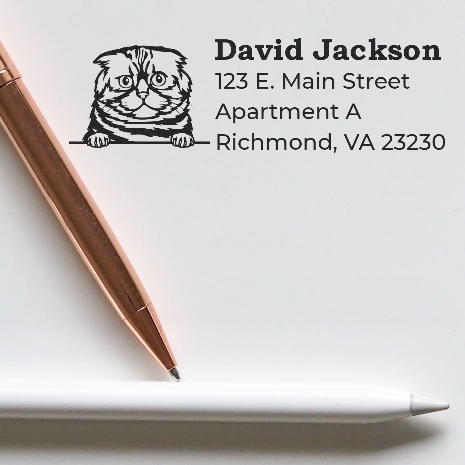 Custom cat address rubber stamp with name and Richmond, VA mailing address for personalized envelopes and stationery.