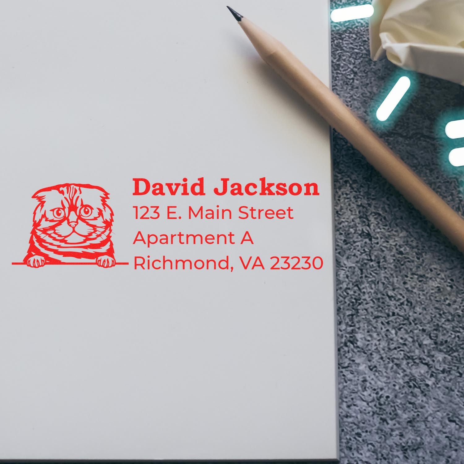 Personalized cat return address rubber stamp with name and Richmond, VA address on mailing package.