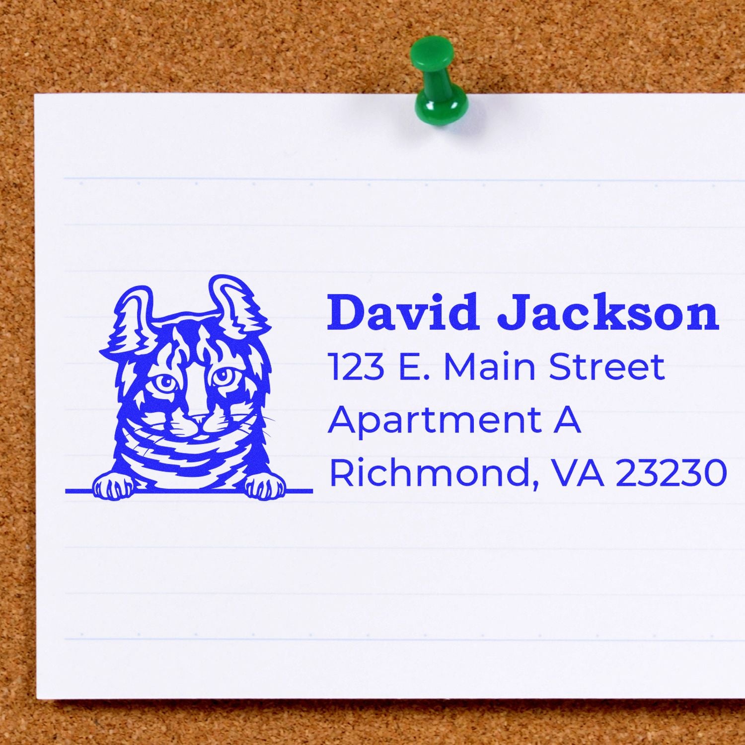 Custom address rubber stamp with cat logo for David Jackson, 123 E. Main Street, Richmond, VA 23230.