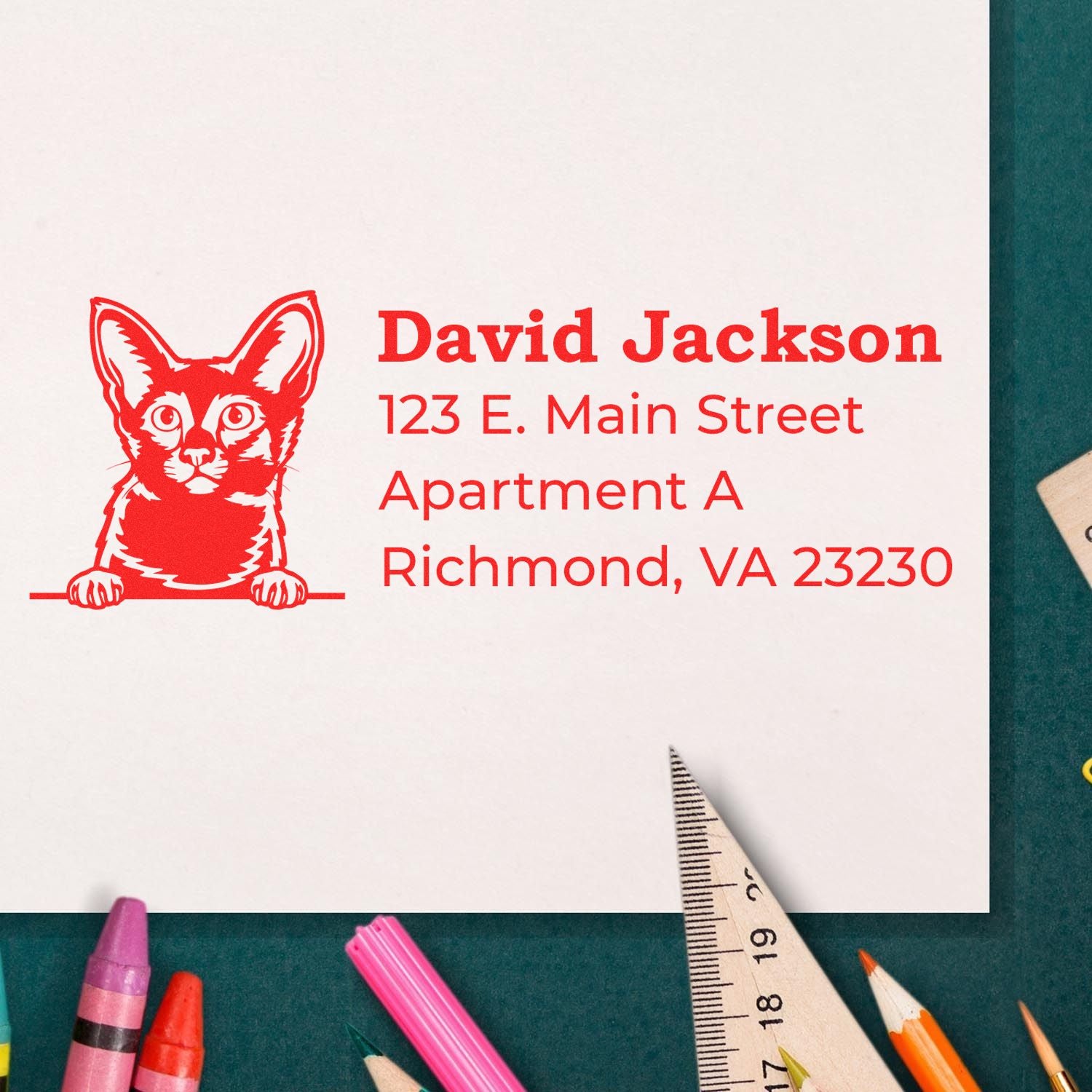 Custom cat return address rubber stamp with name and Richmond, VA mailing address in red ink