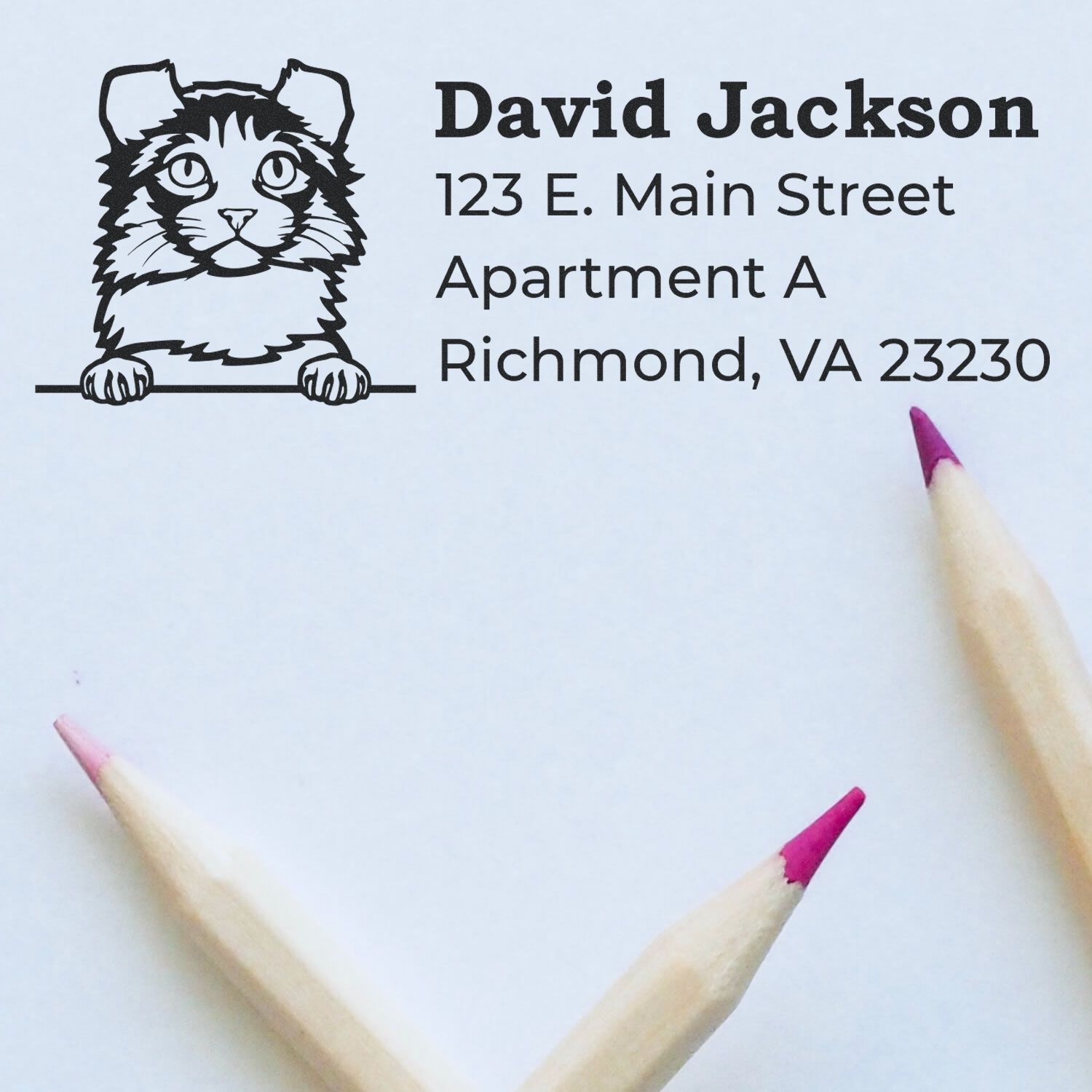 Custom cat return address rubber stamp for David Jackson, 123 E. Main Street, Apartment A, Richmond, VA 23230.