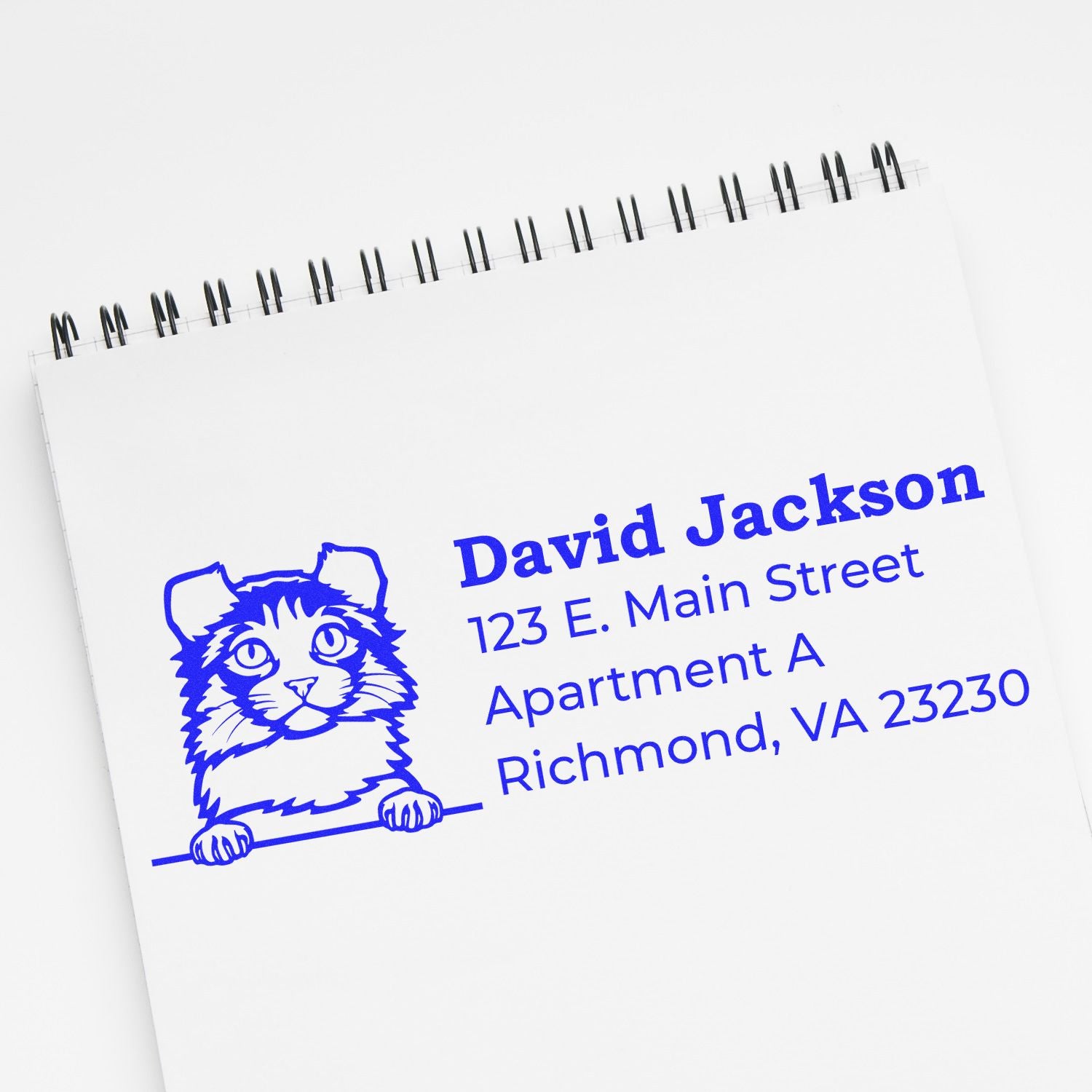 Personalized cat address rubber stamp for mailing envelopes, shown with name and Richmond, VA address.