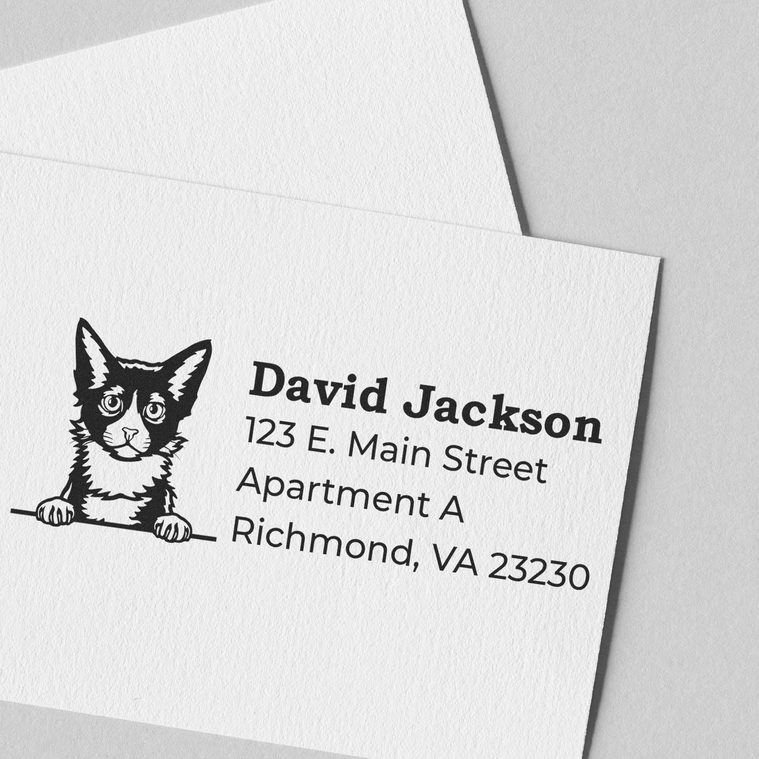 Personalized cat return address rubber stamp for envelopes, showing David Jackson and Richmond, VA mailing address.