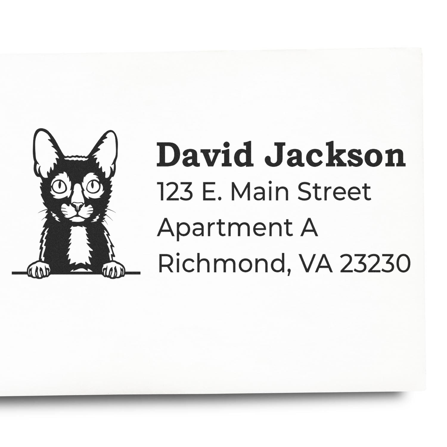 Personalized cat address rubber stamp for David Jackson, with name and Richmond, VA return address.